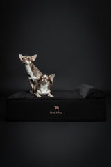 NOAH & PAW orthopedic-core-foam provides firm support for joints.
