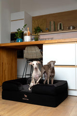NOAH & PAW orthopedic dog bed memory foam offers supportive comfort for joints.