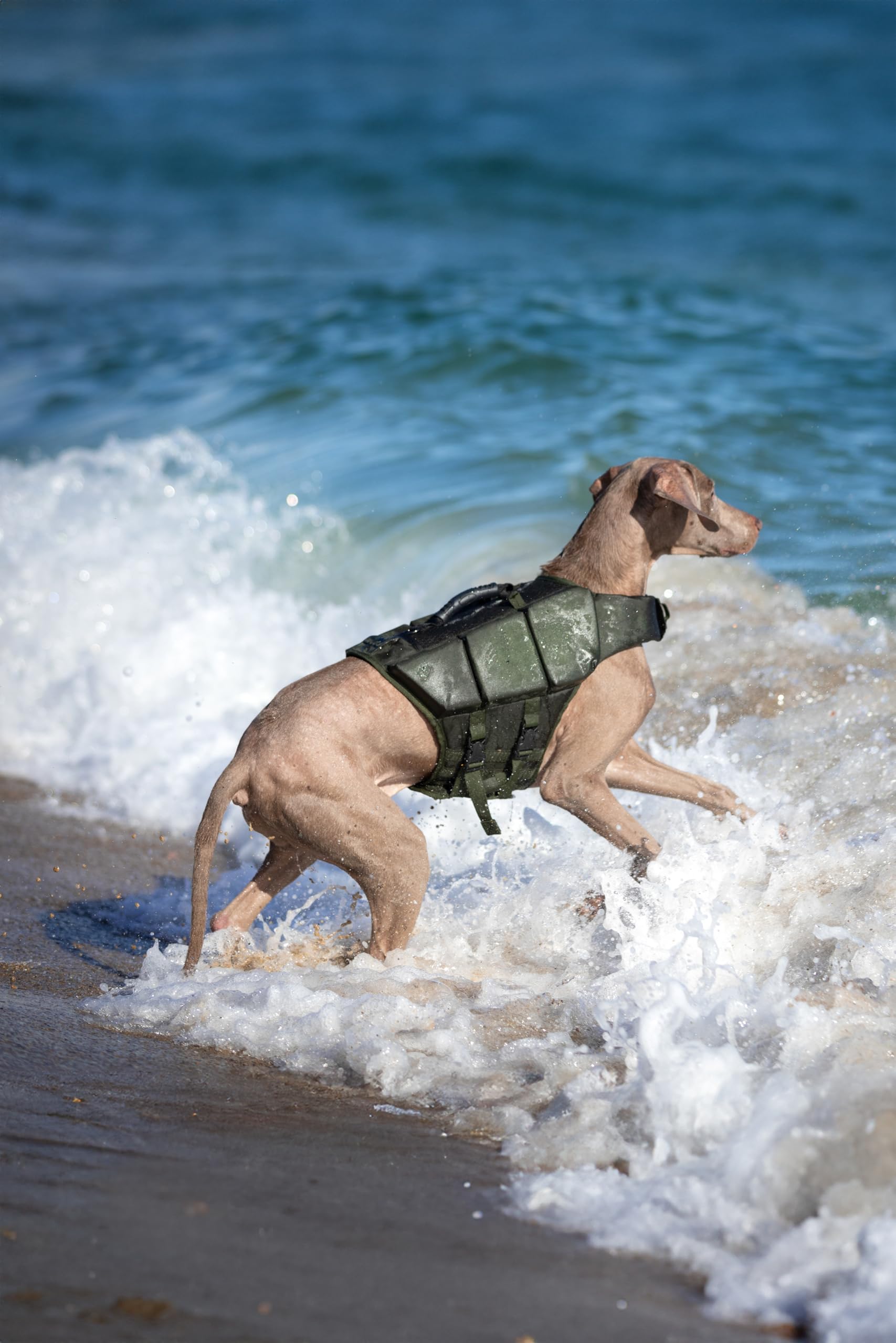 NOAH & PAW reflective stripe improves visibility in low light boating scenarios.