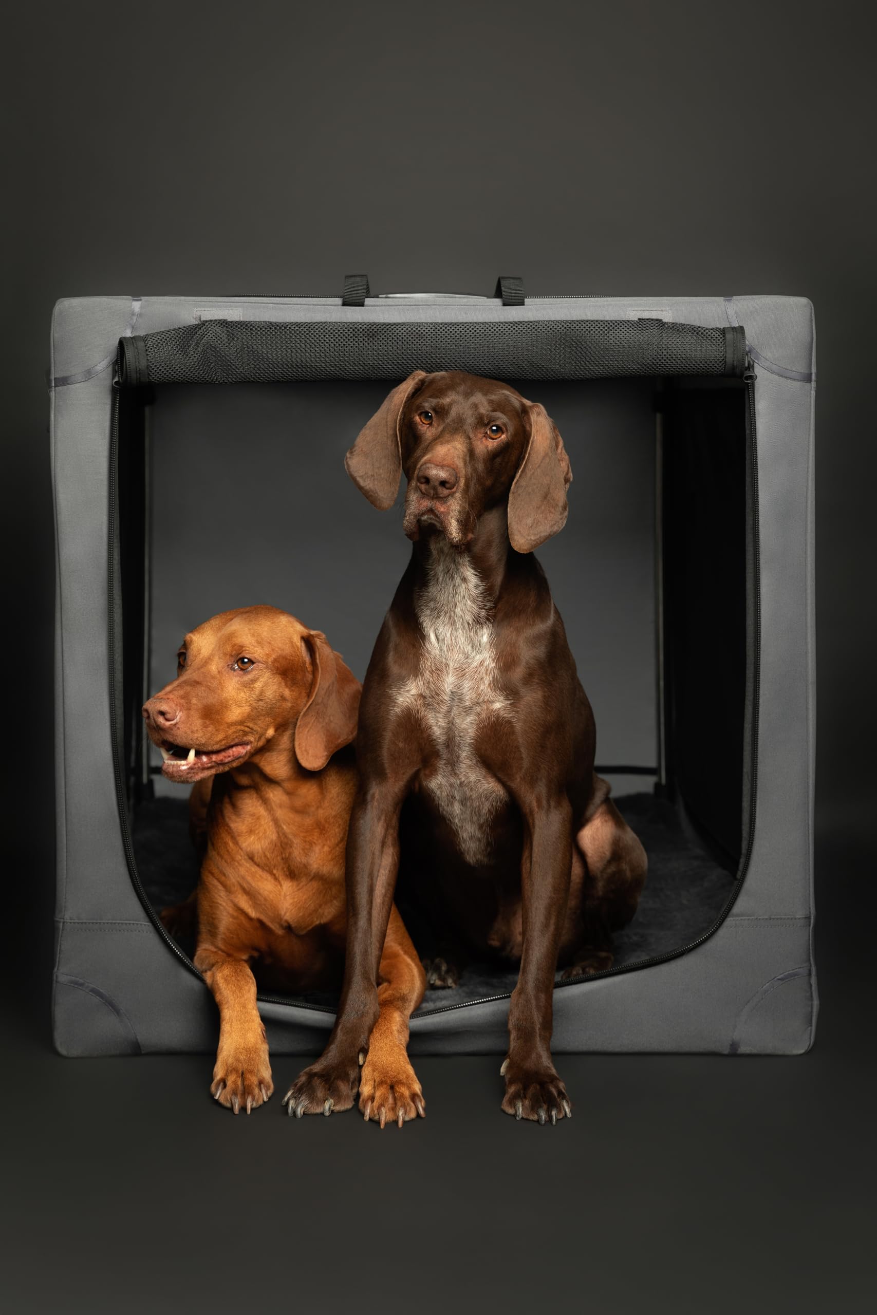 NOAH & PAW removable bed mat enables easy cleaning for crate use.