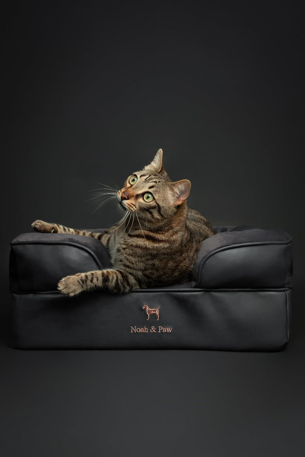 NOAH & PAW small dog bed foam-layer emphasis on cushioned contouring comfort
