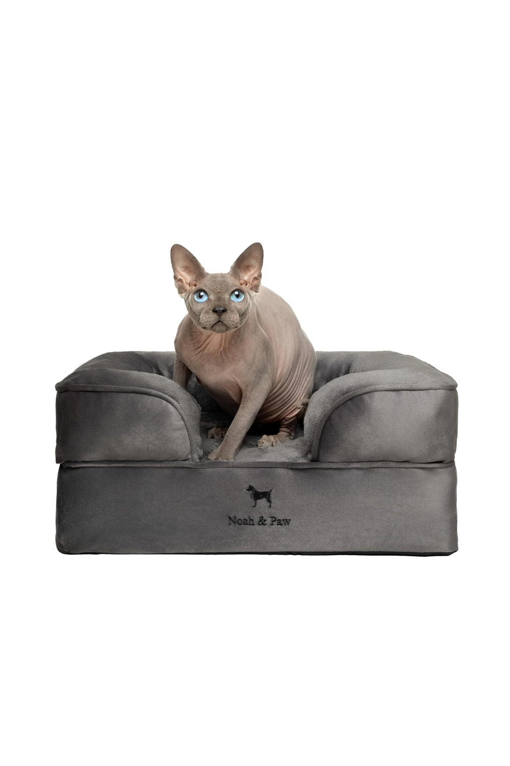 NOAH & PAW small dog bed front view showing orthopedic support for pets
