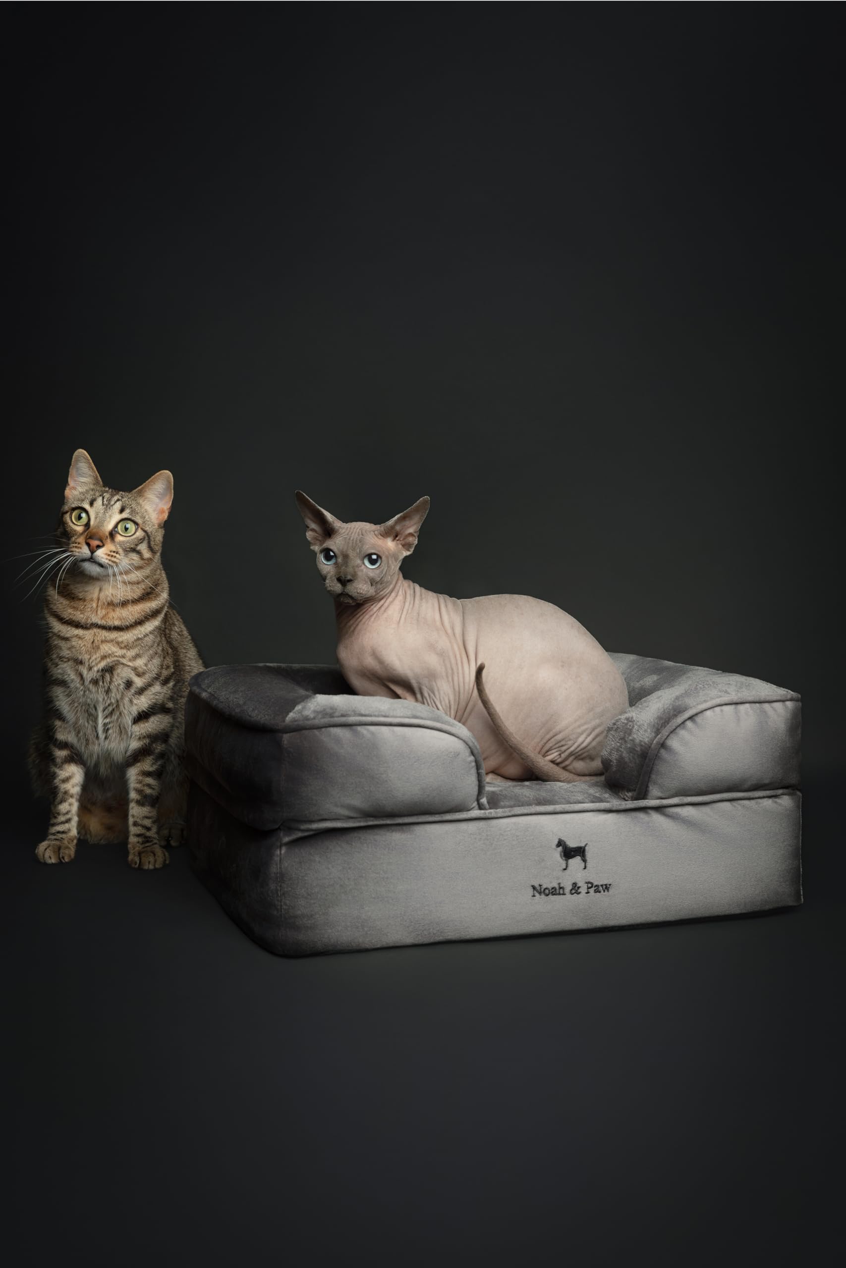NOAH & PAW small dog bed memory foam inside emphasizes pressure-distributing comfort