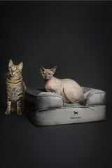 NOAH & PAW small dog bed memory foam inside emphasizes pressure-distributing comfort