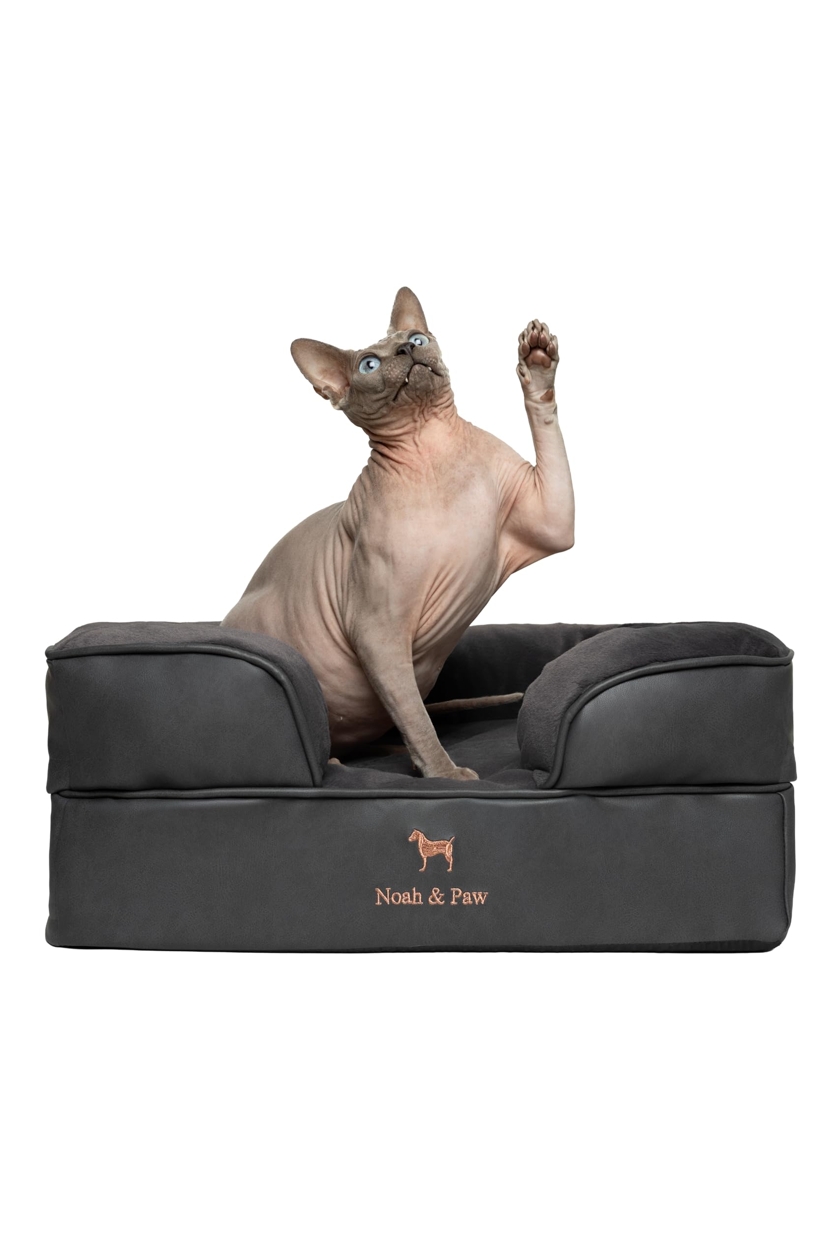 NOAH & PAW small dog bed memory-foam-top offers supportive, comfortable resting surface