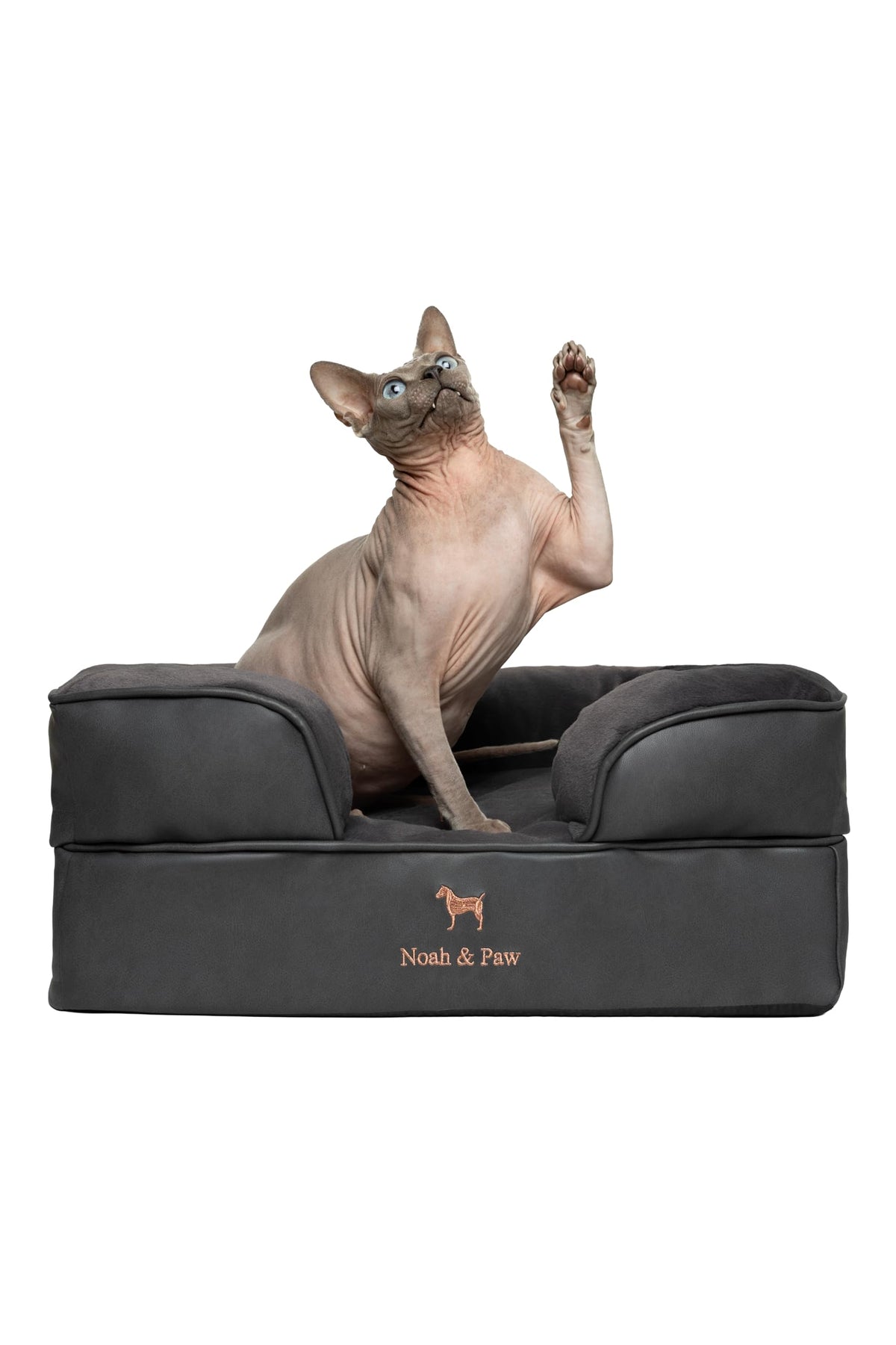 NOAH & PAW small dog bed memory-foam-top offers supportive, comfortable resting surface