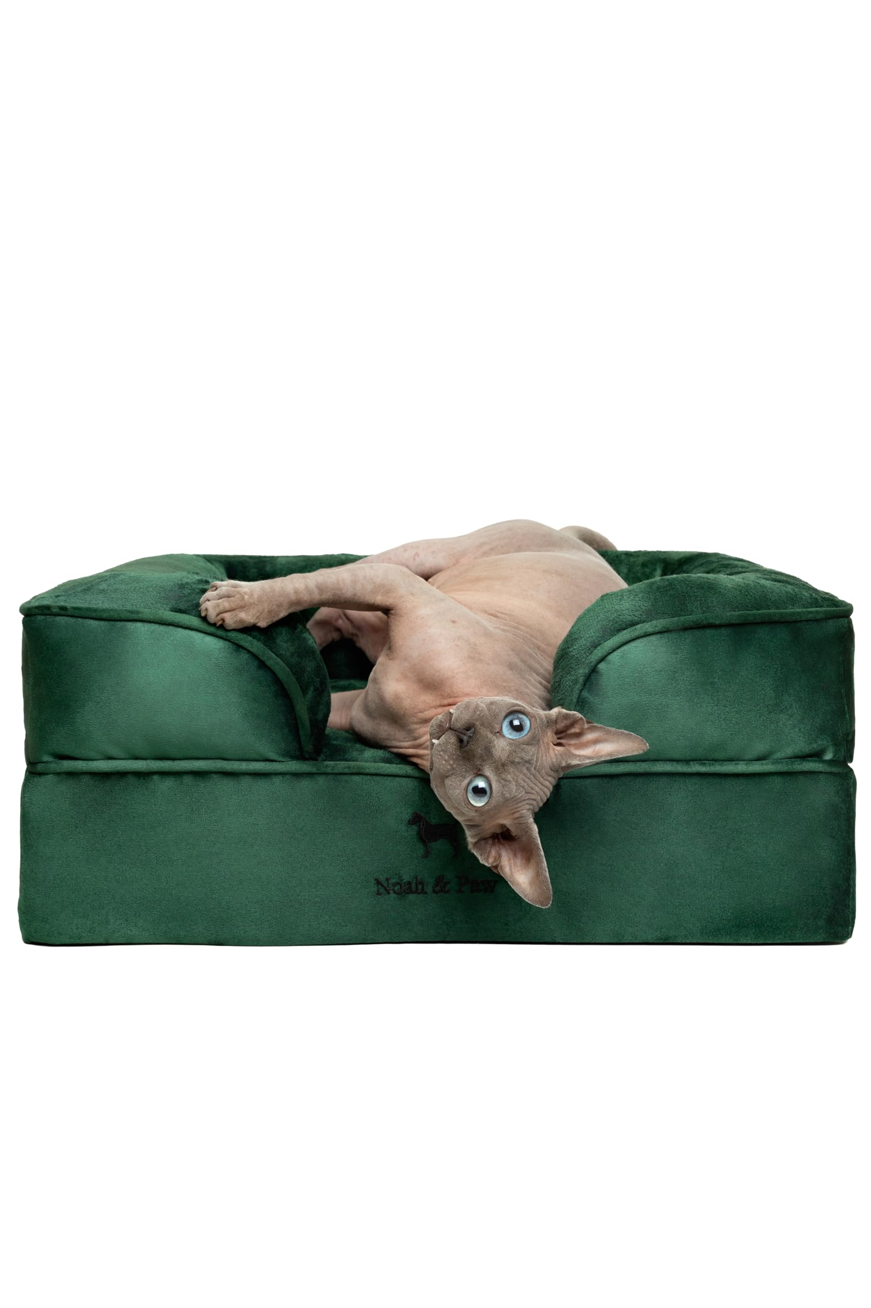 NOAH & PAW small dog bed outer cover demonstrates waterproof protection for easy cleaning.