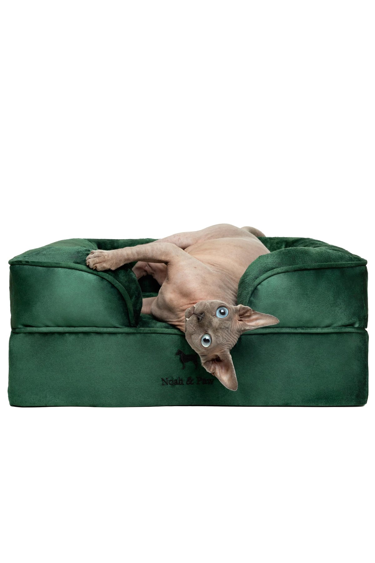 NOAH & PAW small dog bed outer cover demonstrates waterproof protection for easy cleaning.