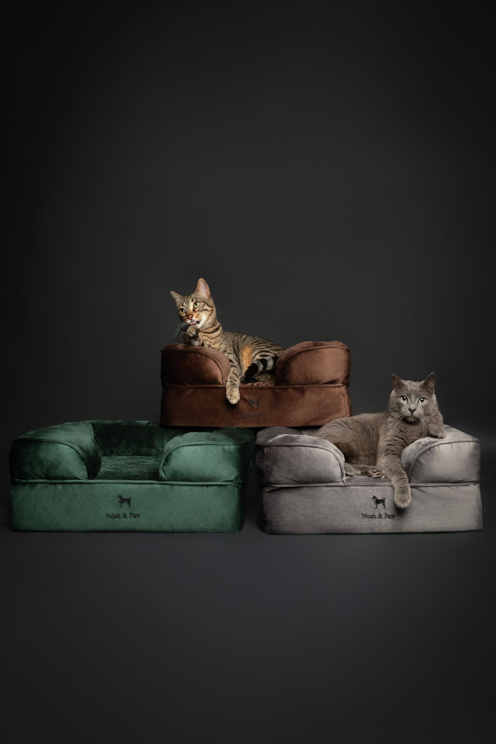NOAH & PAW small dog bed removable covers demonstrate machine-wash care