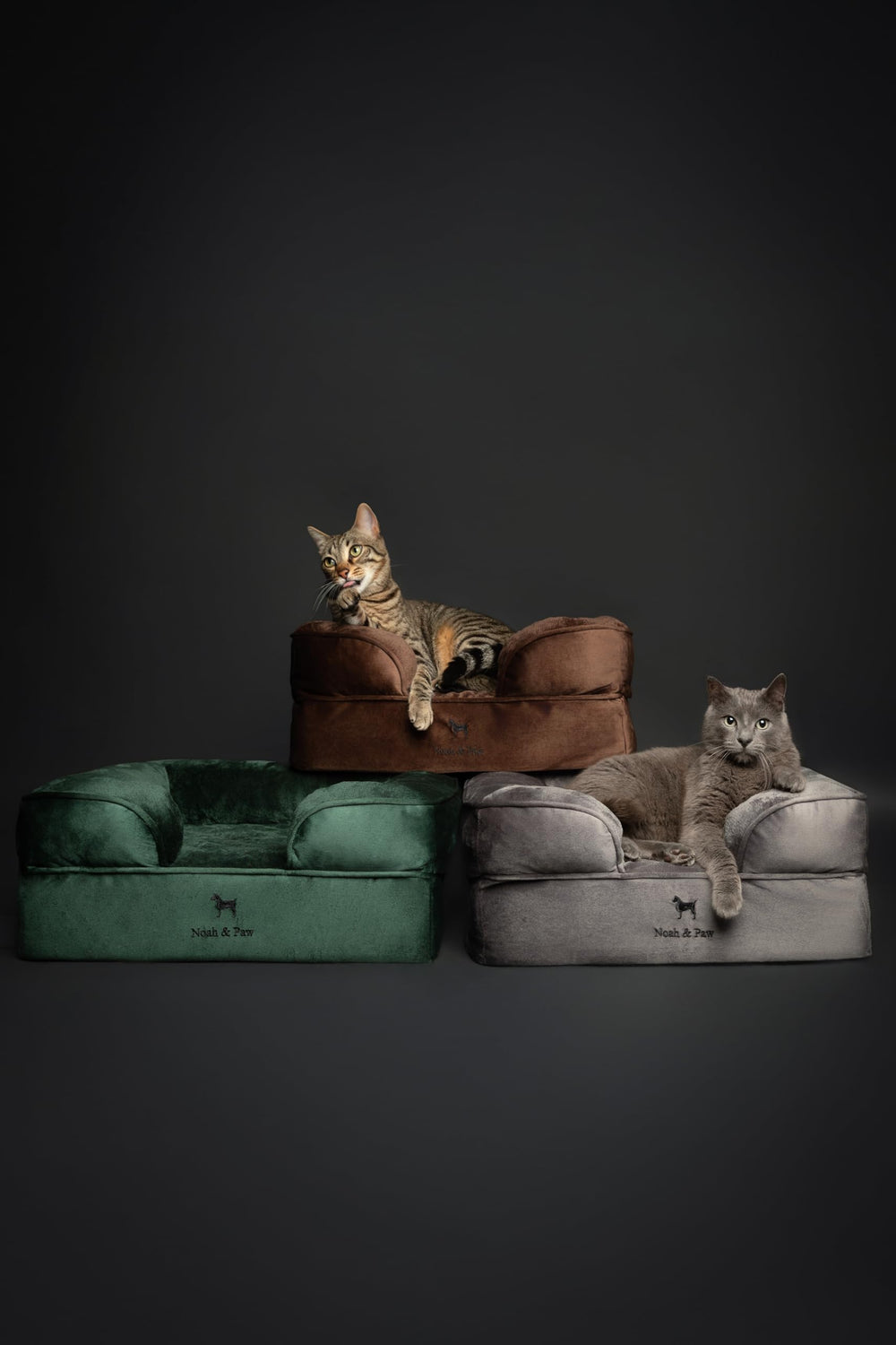NOAH & PAW small dog bed removable covers demonstrate machine-wash care