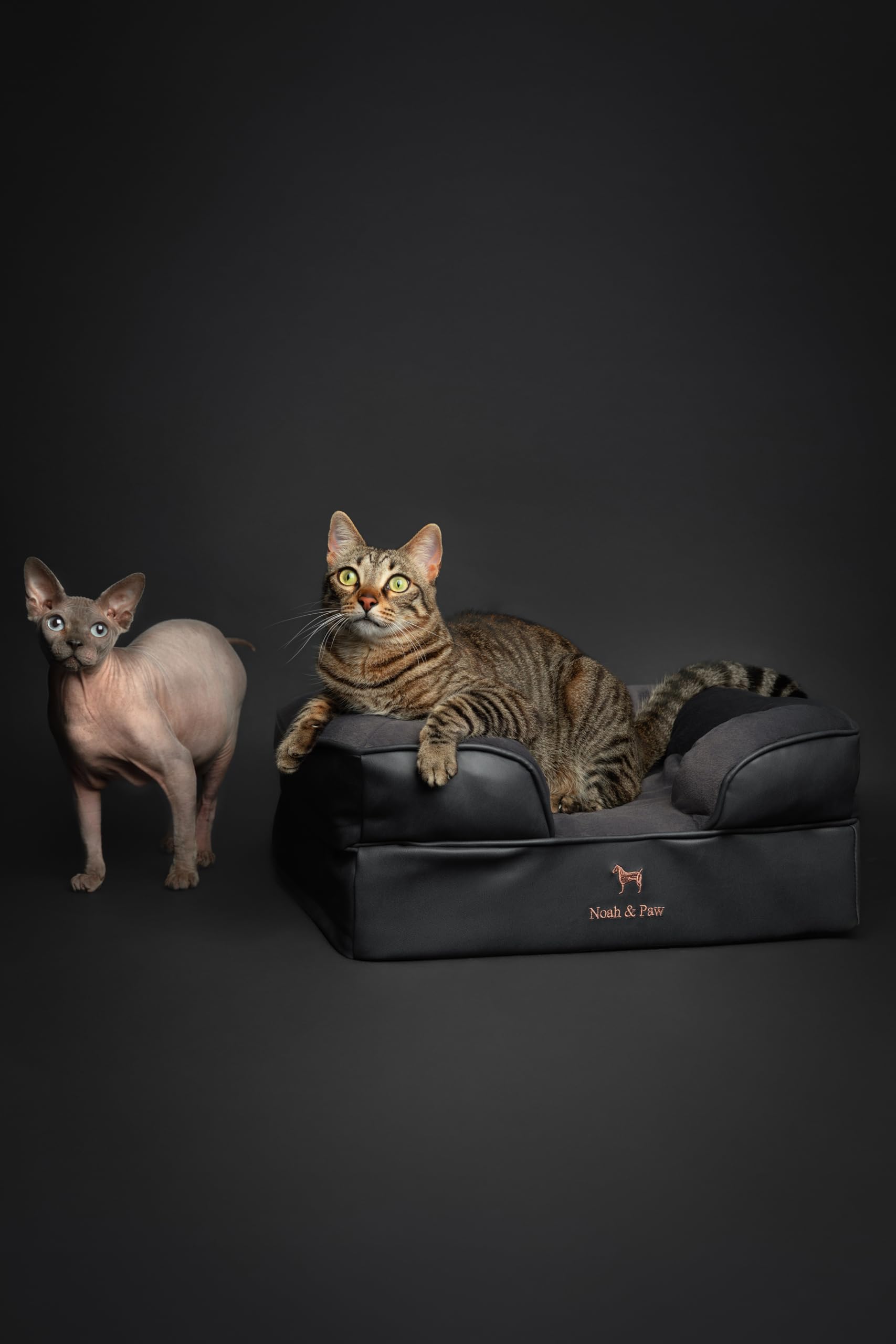 NOAH & PAW small dog bed washable-outer-cover for easy cleaning