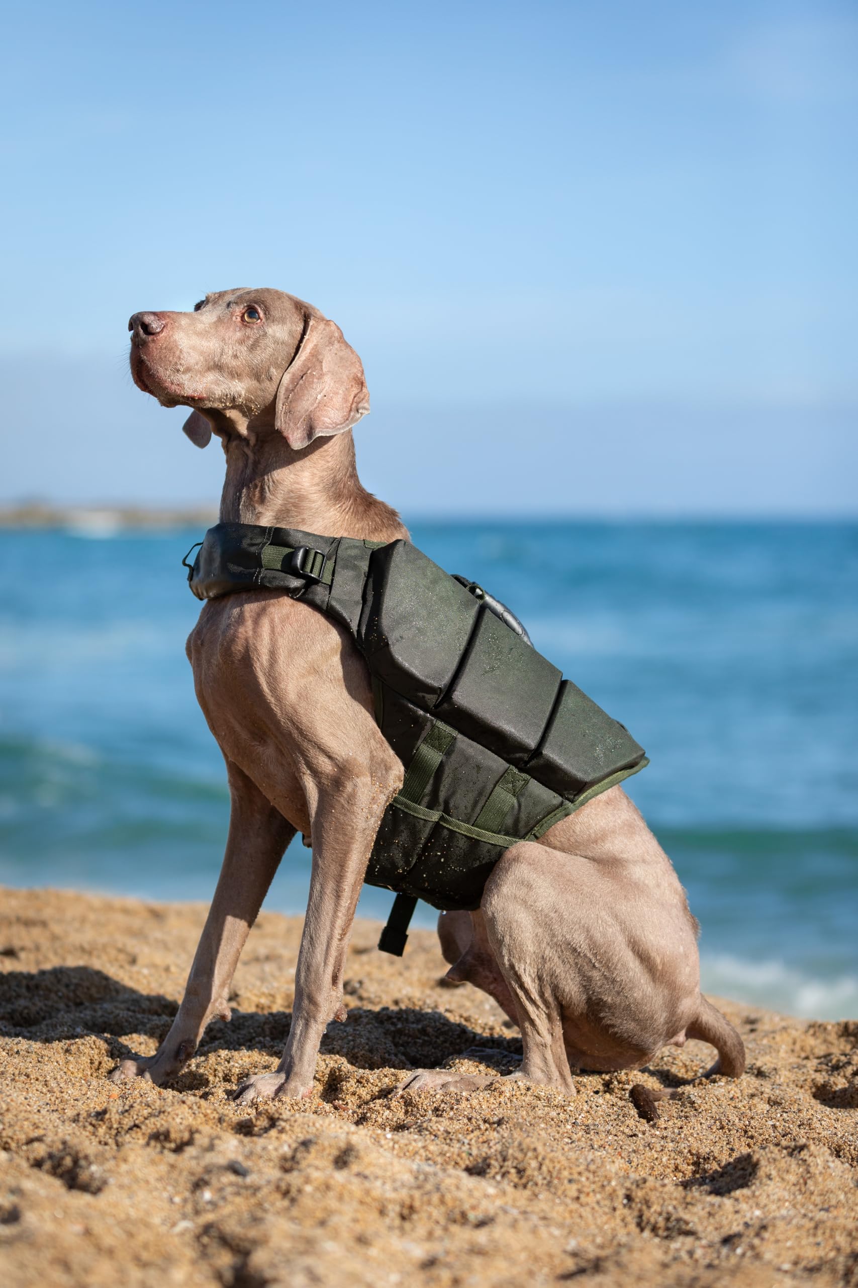 NOAH & PAW tested in ocean, pool, and lake environments for versatile use.
