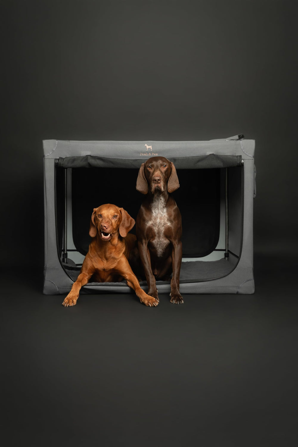 NOAH & PAW travel pockets and bag simplify packing and portability.