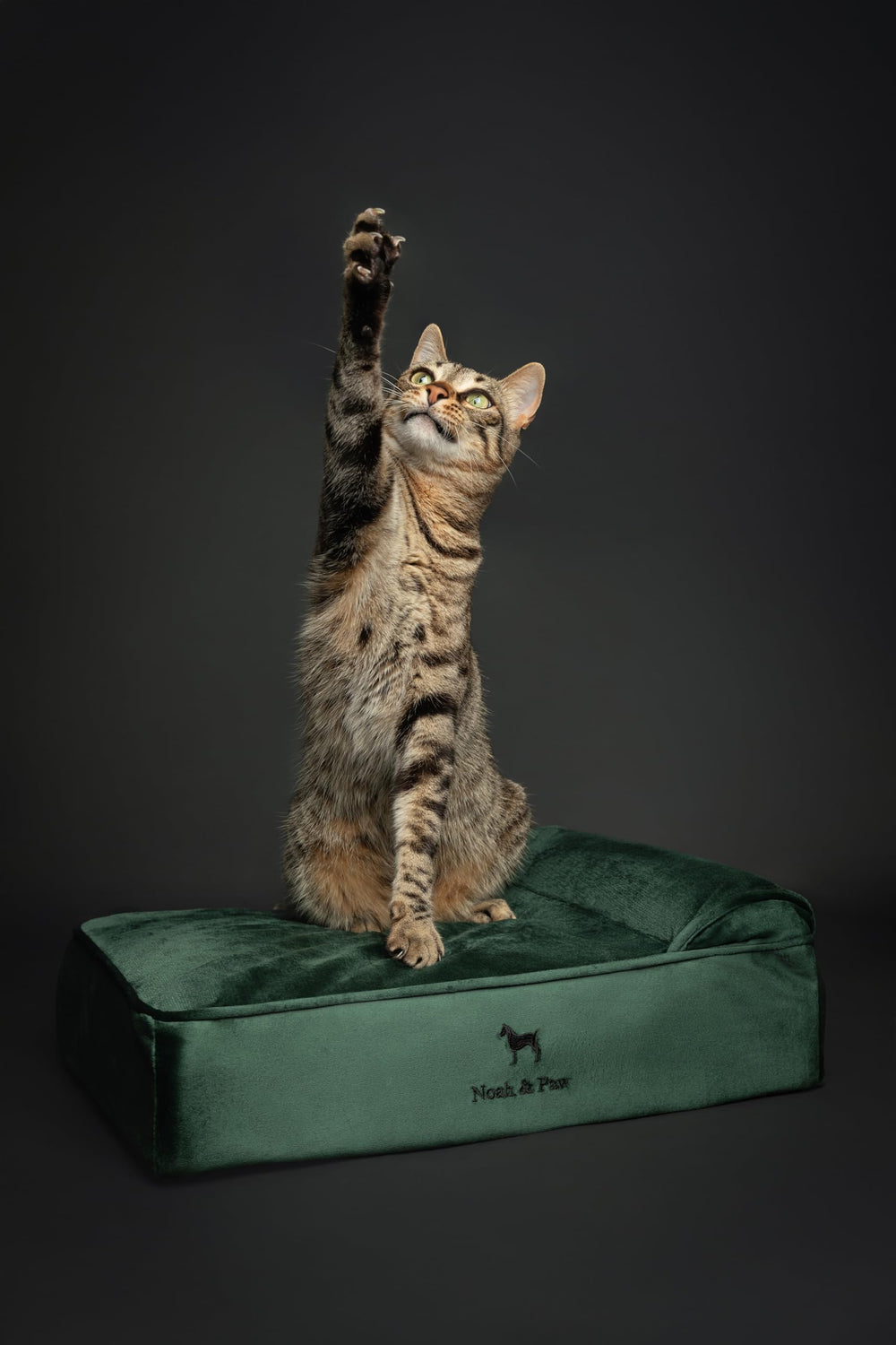 NOAH & PAW Velvet Collection cover closeup, showcasing soft, washable fabric for easy care.