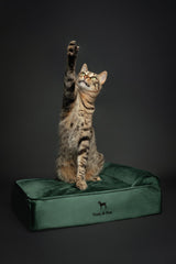 NOAH & PAW Velvet Collection cover closeup, showcasing soft, washable fabric for easy care.