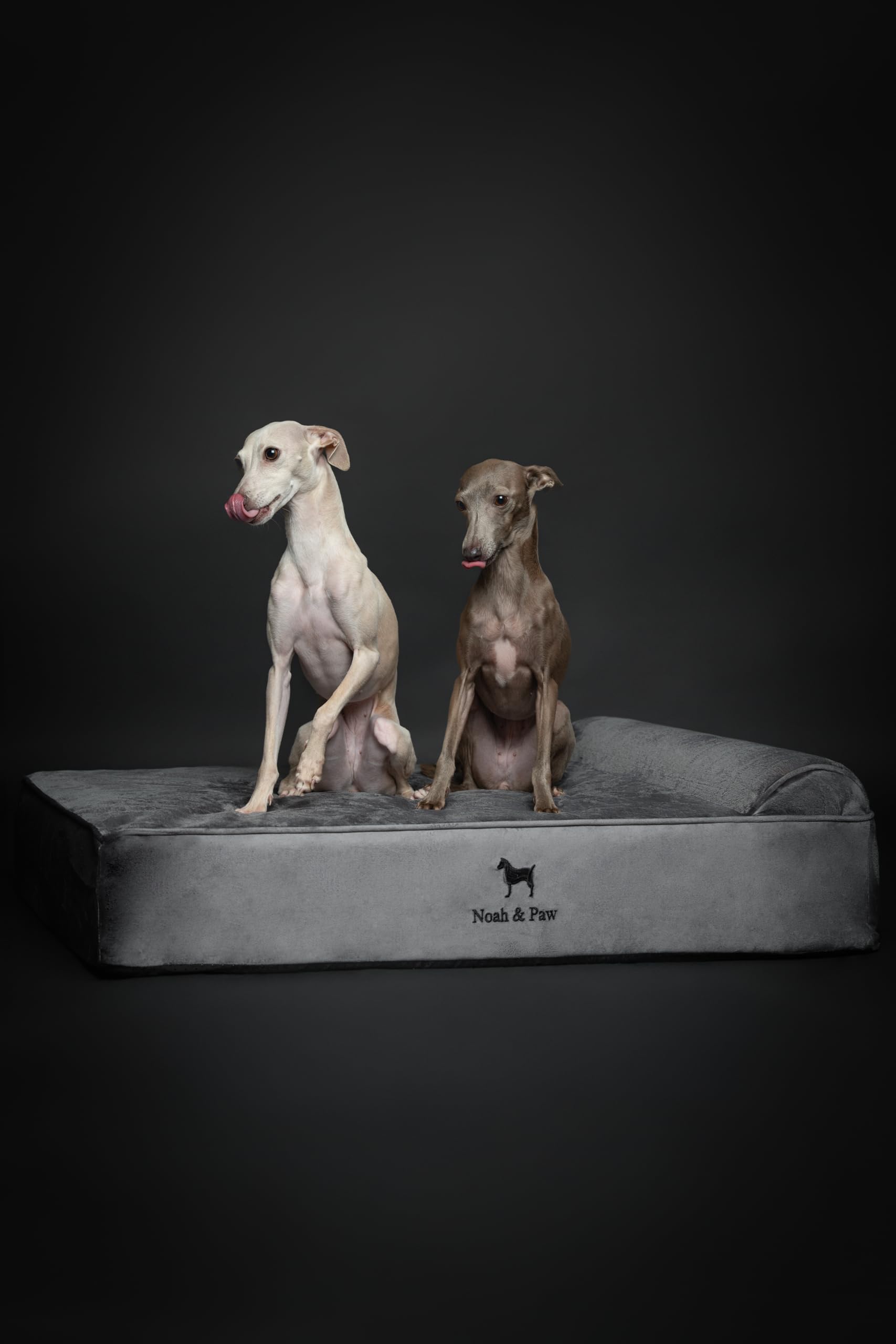 NOAH & PAW velvet collection covers are removable.