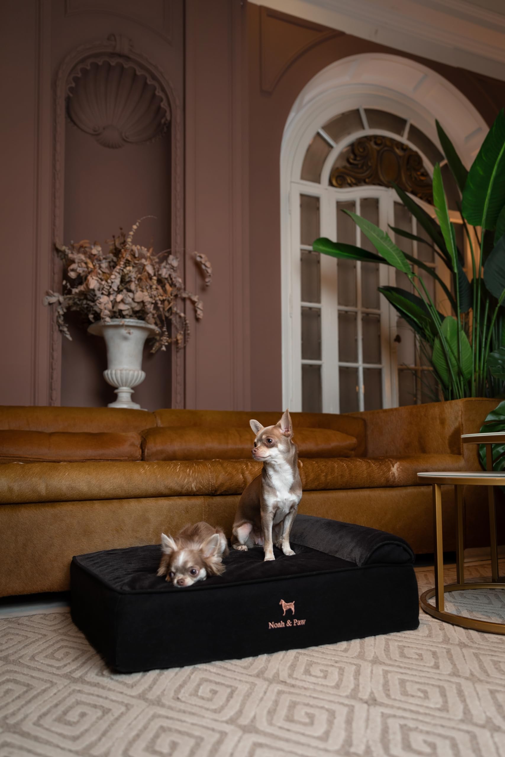 NOAH & PAW waterproof-base-cover keeps the resting area clean and dry.