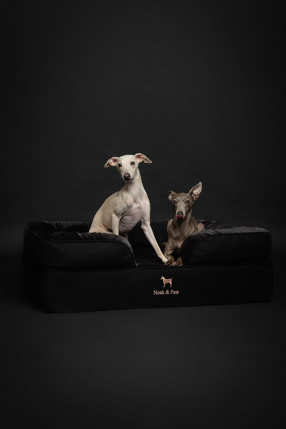 NOAH & PAW outer cover is waterproof for spills and accidents.