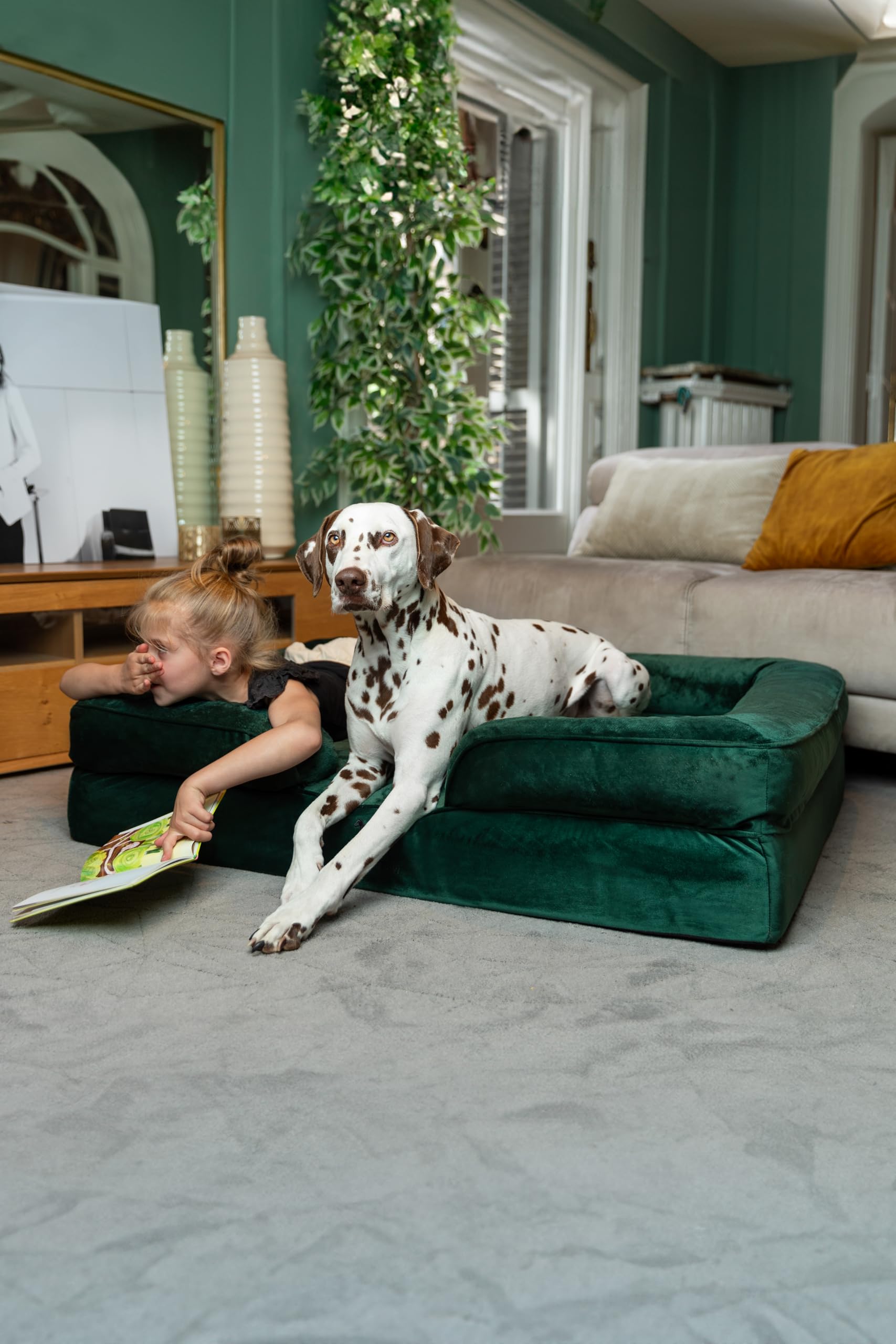 NOAH & PAW XL dog bed inner cover protecting the foam during washing.