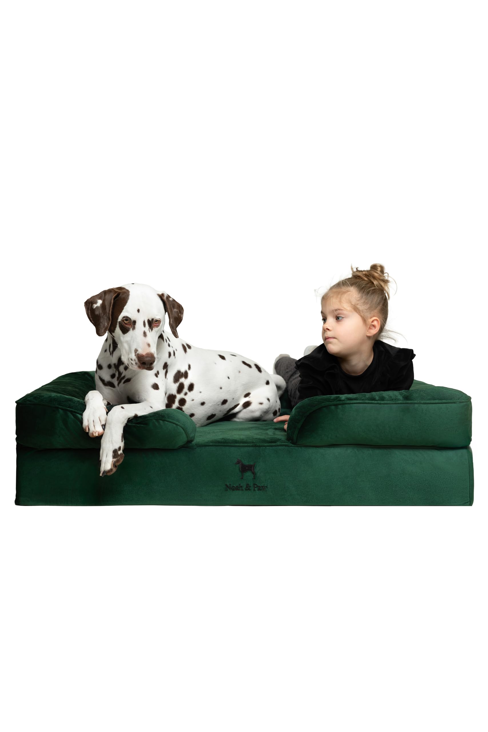 NOAH & PAW XL dog bed outer cover in plush velvet, waterproof and easy to clean.