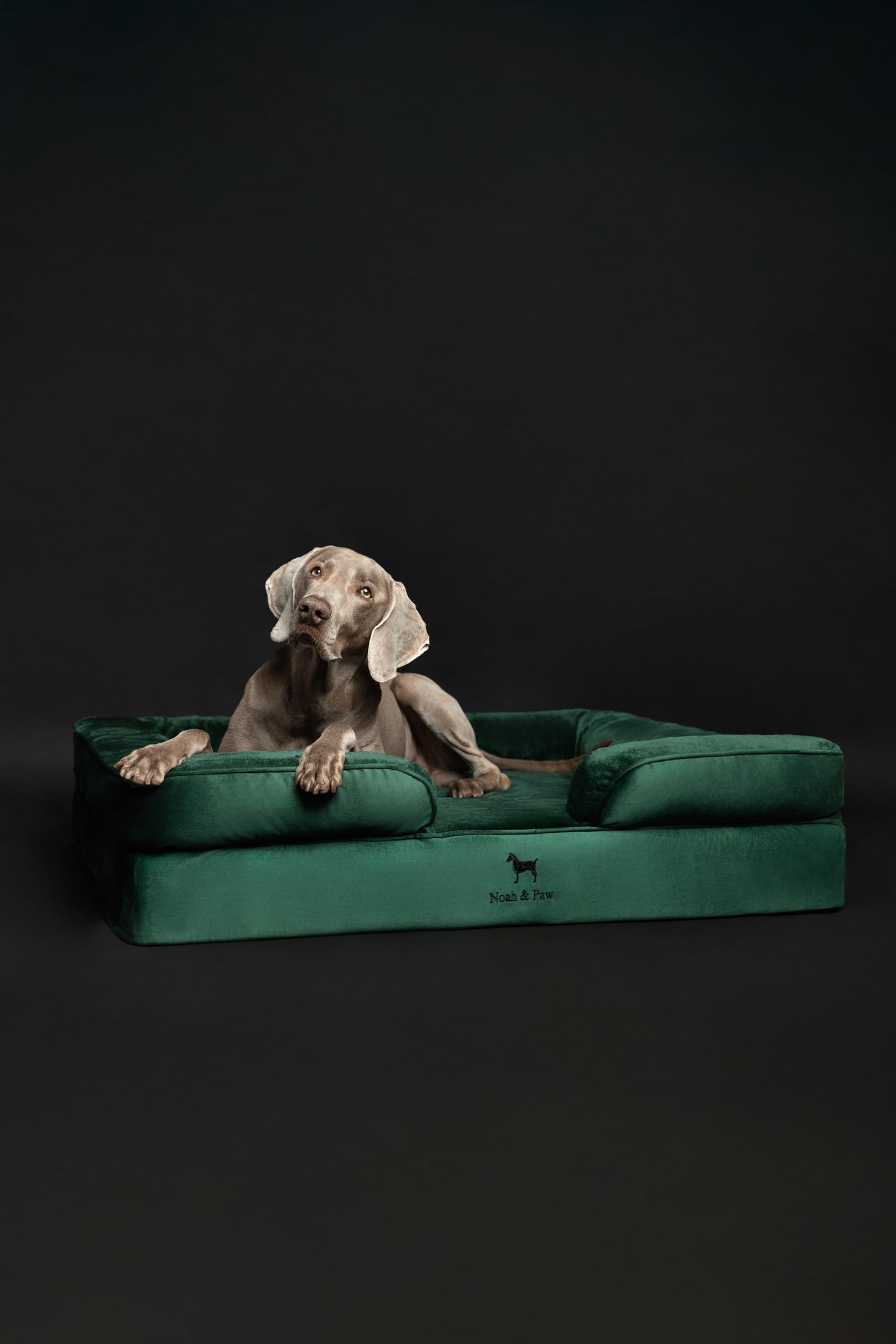 NOAH & PAW XL dog bed waterproof shell close-up for spill protection.