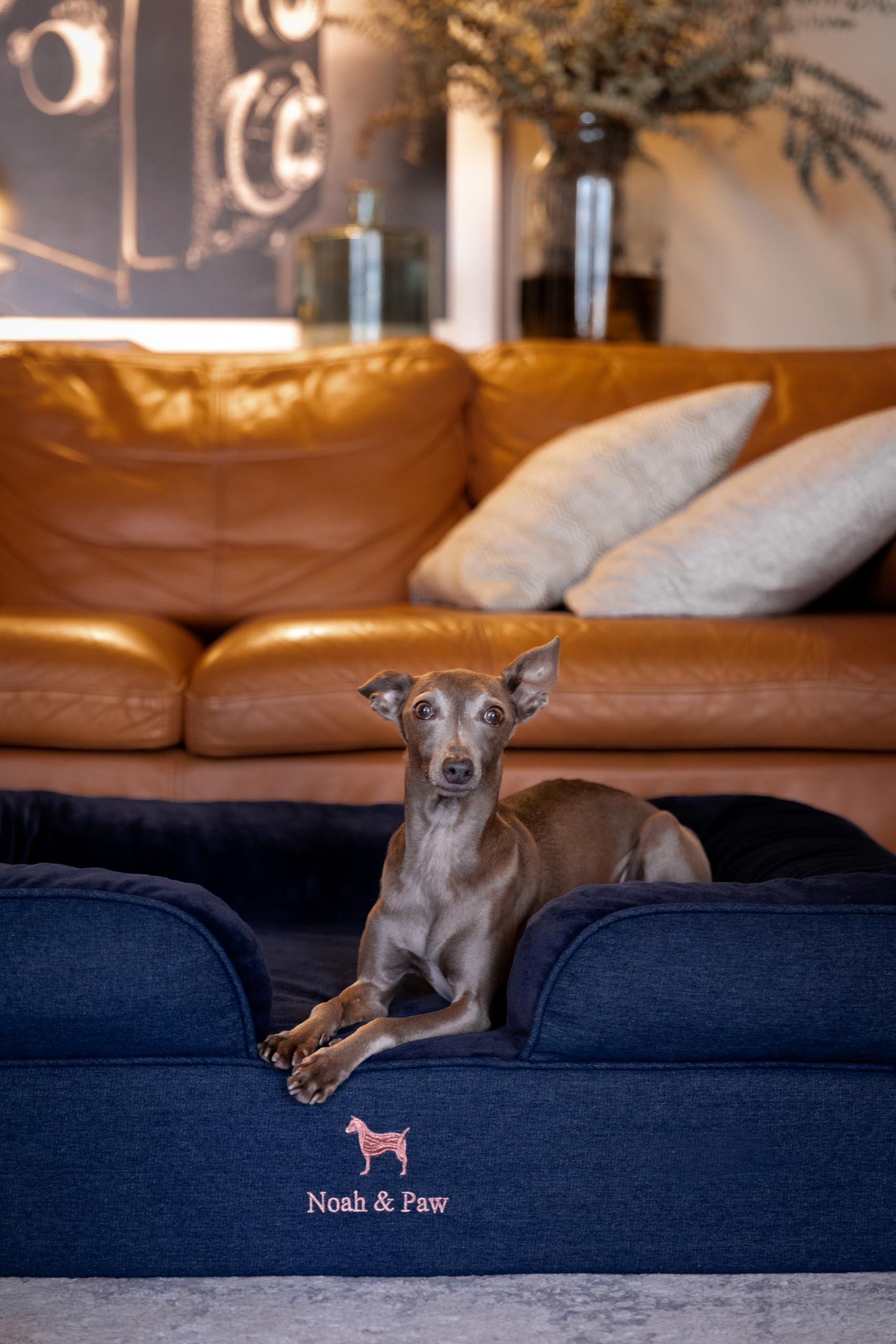 NOAH & PAW 35x25x11 inch bed fits large and giant breeds.