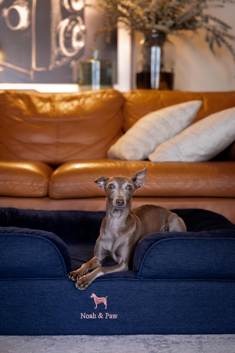NOAH & PAW 35x25x11 inch bed fits large and giant breeds.