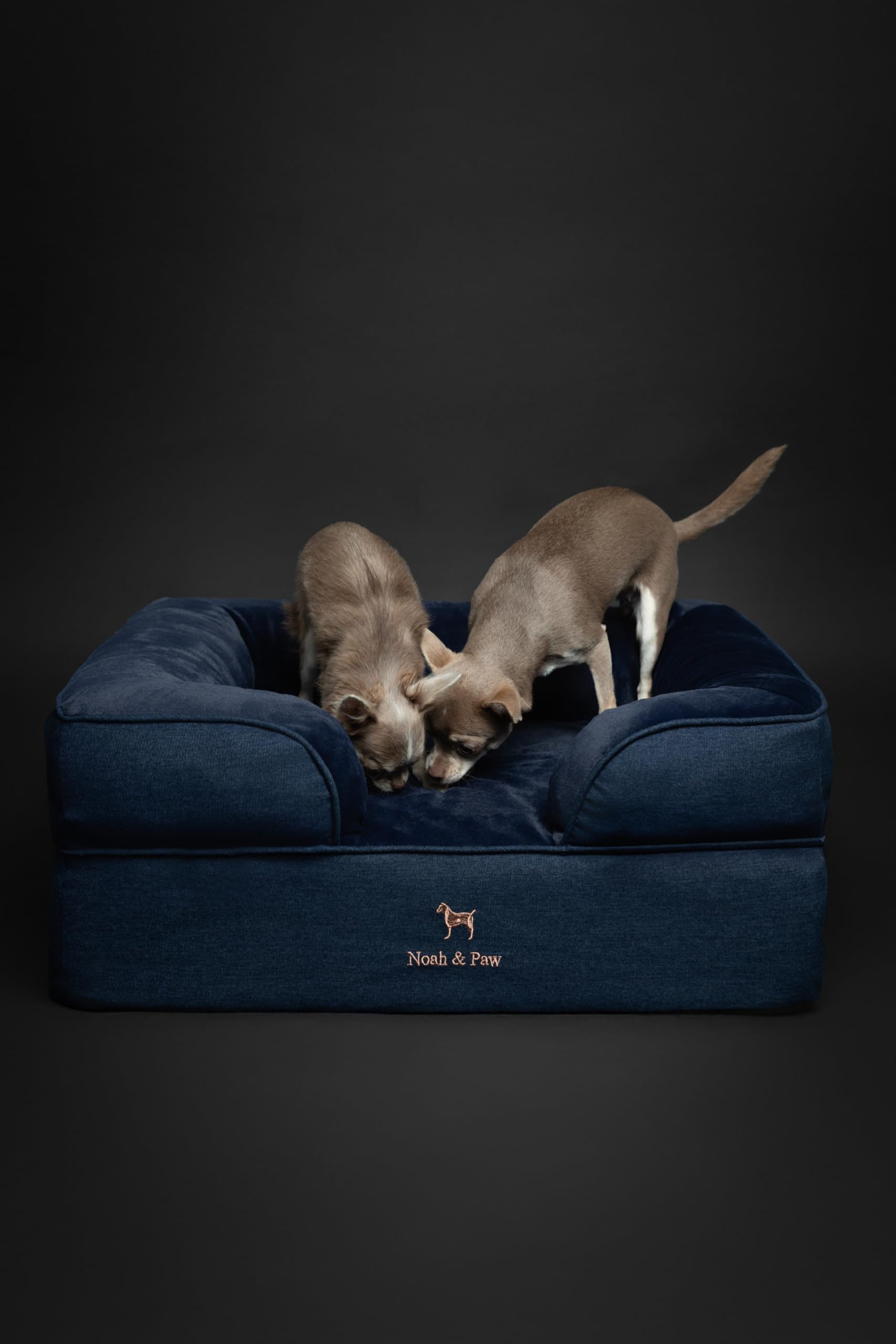 NOAH & PAW 5-inch memory-foam bolster offers secure side-snuggle