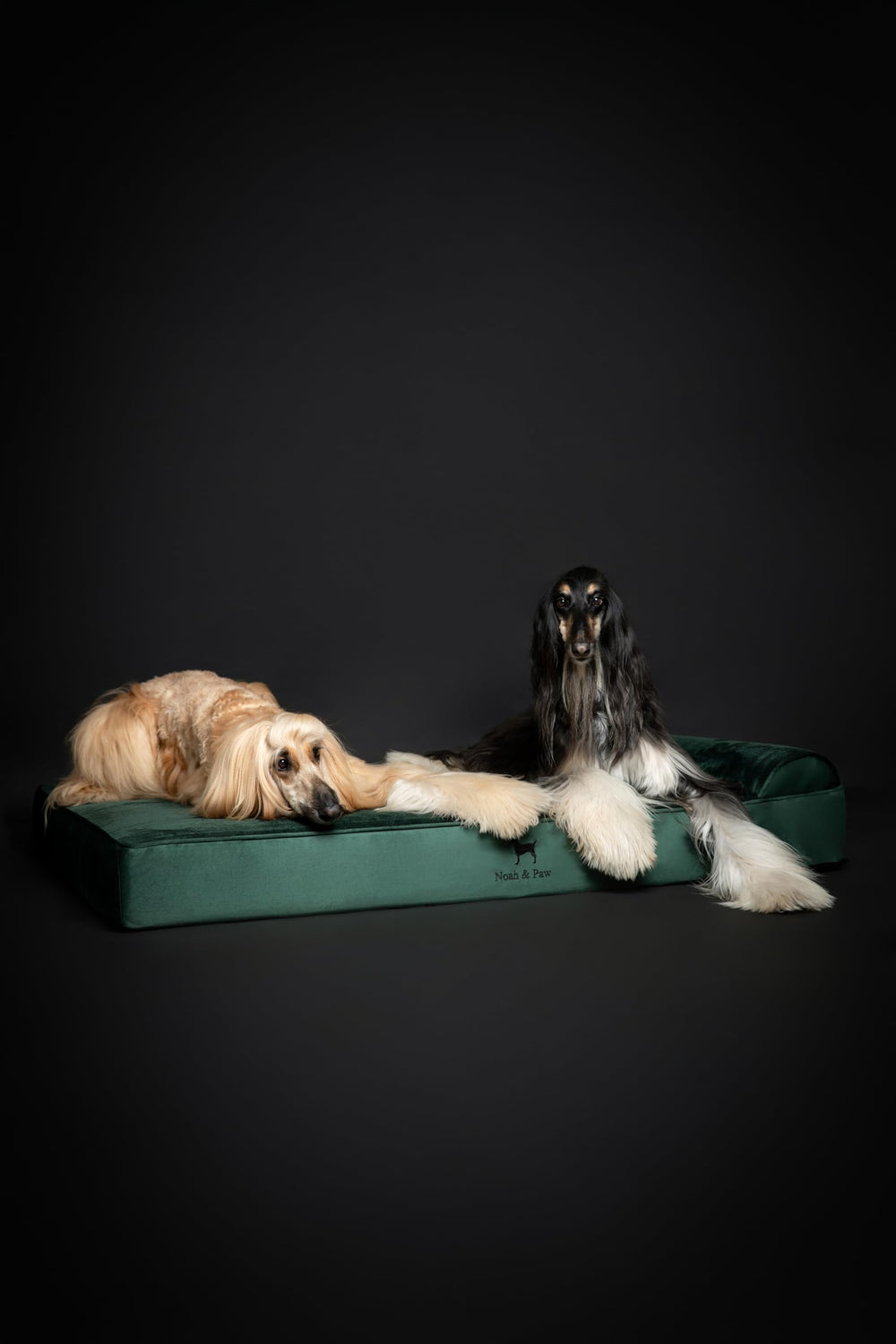 NOAH & PAW 55x45 giant bed dimensions fit large breeds comfortably.
