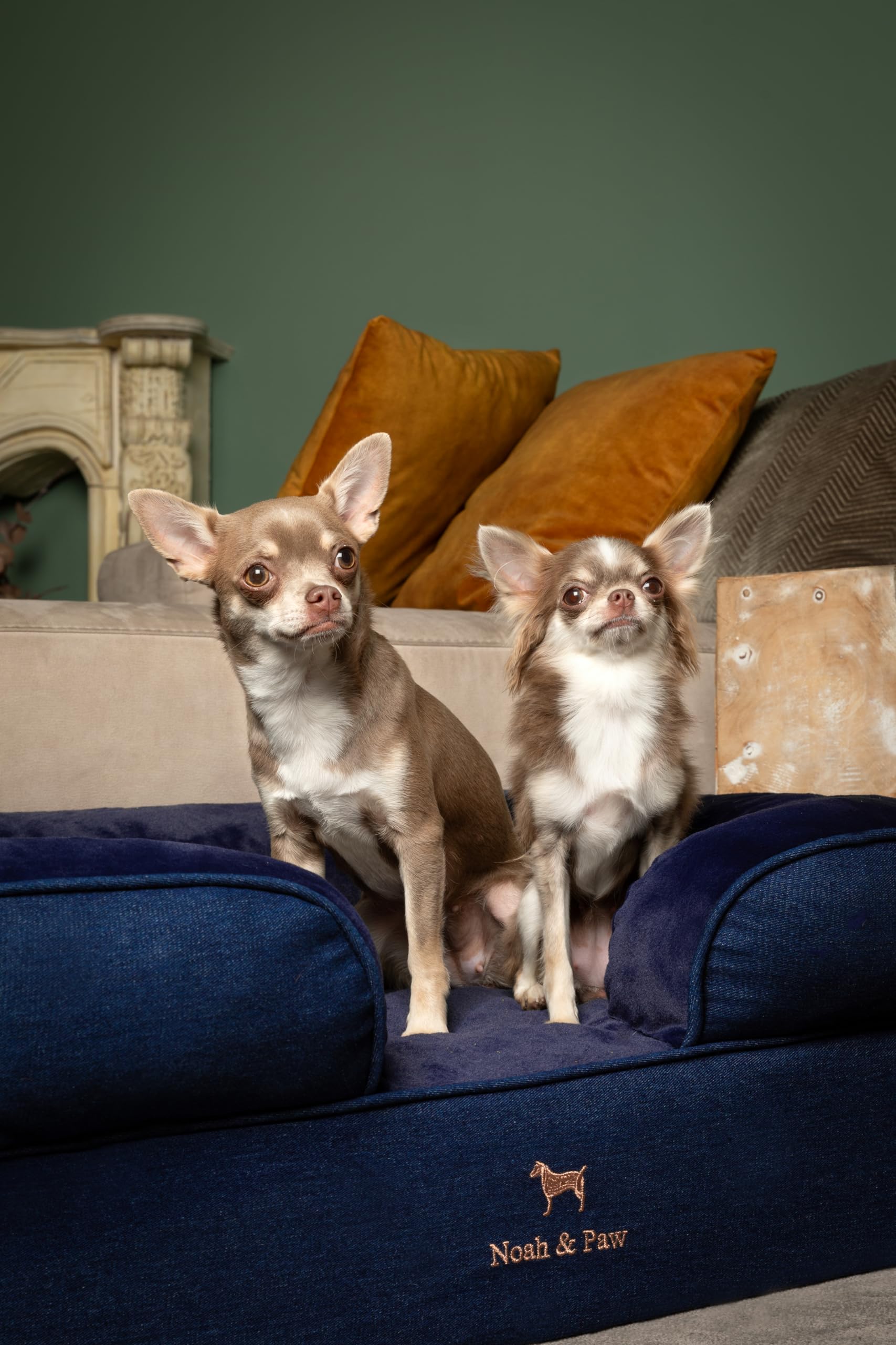 NOAH & PAW 6-inch base foam detail provides full-body support