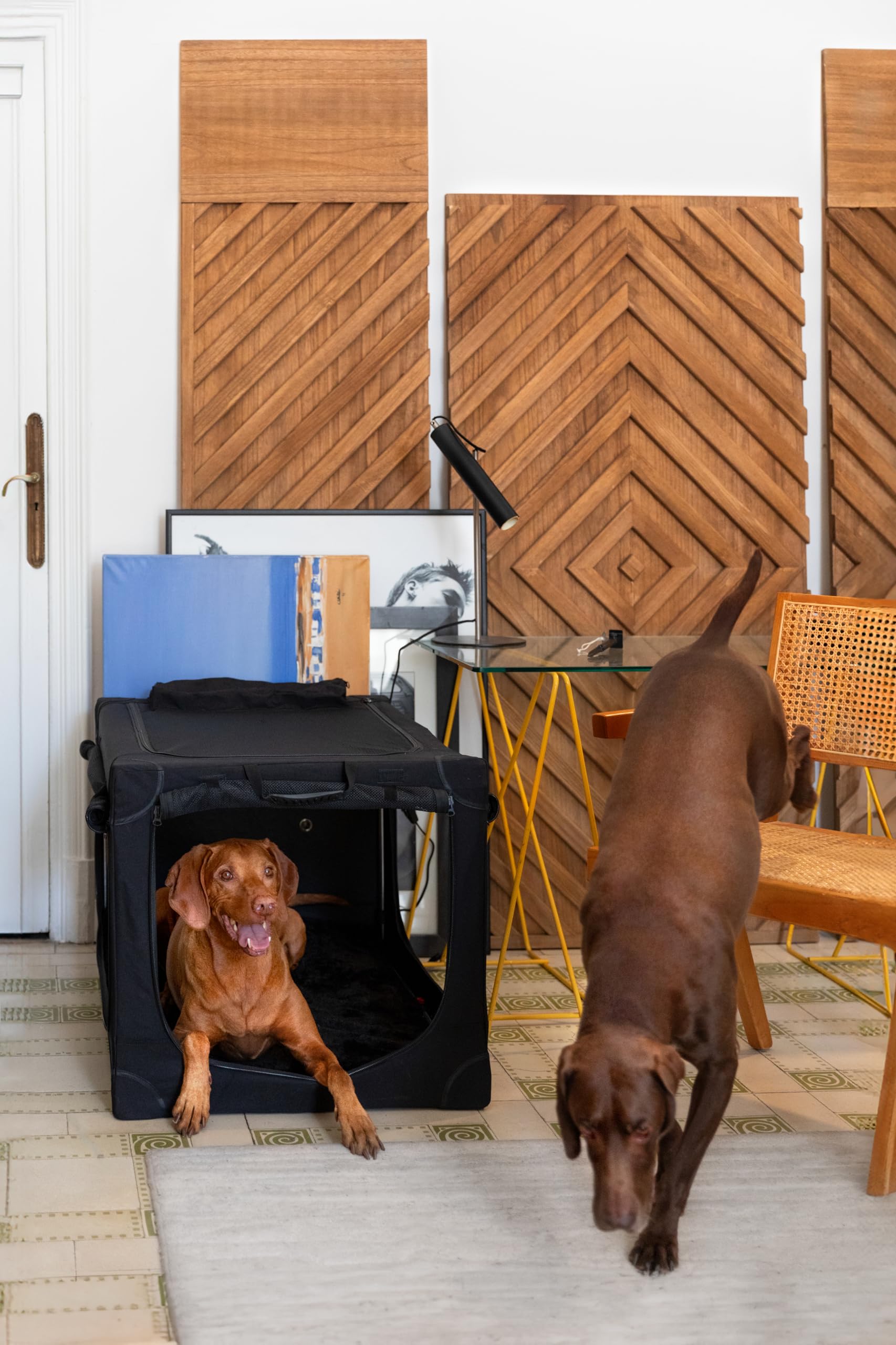 Noah & Paw 900D oxford cover highlights durable travel-ready protection.