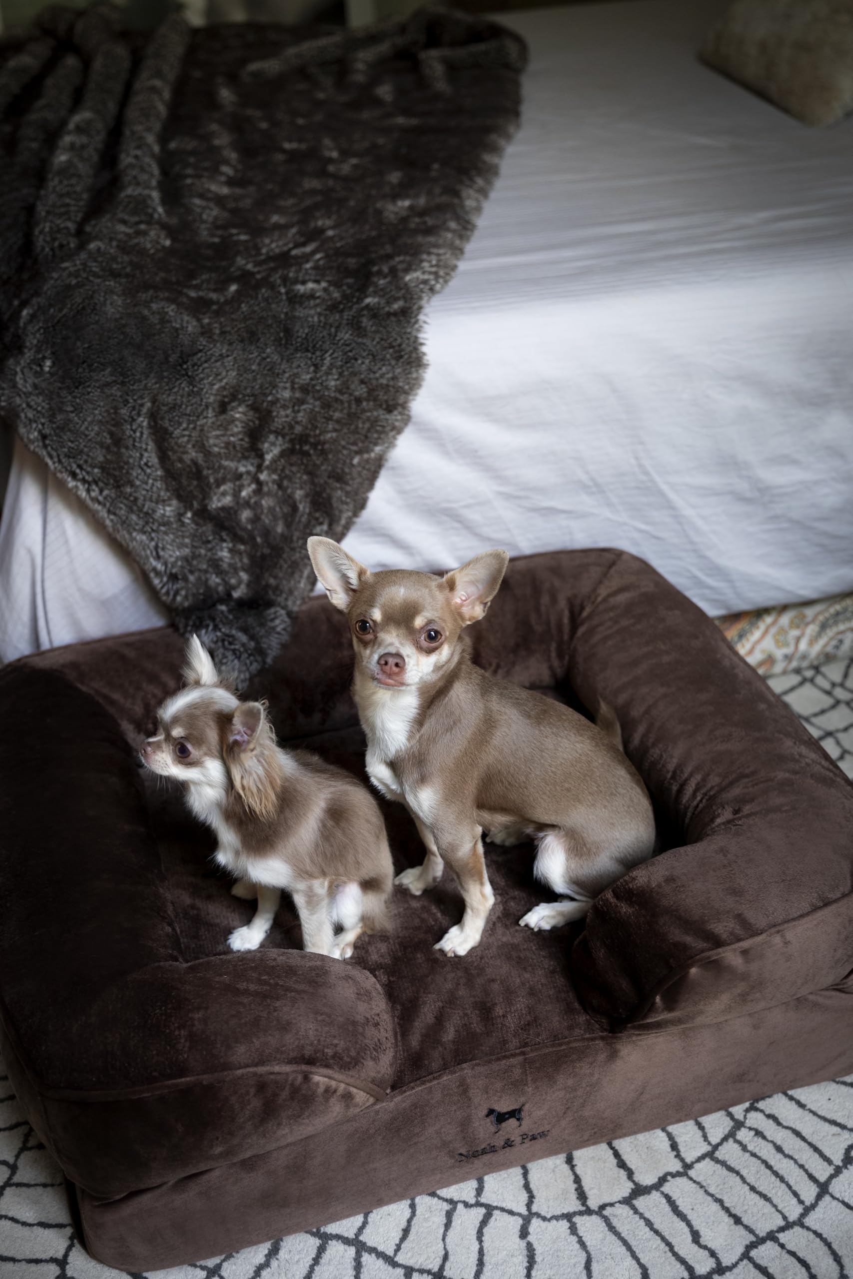 NOAH & PAW 11-inch-raised-bed image illustrates elevated support for lounging.