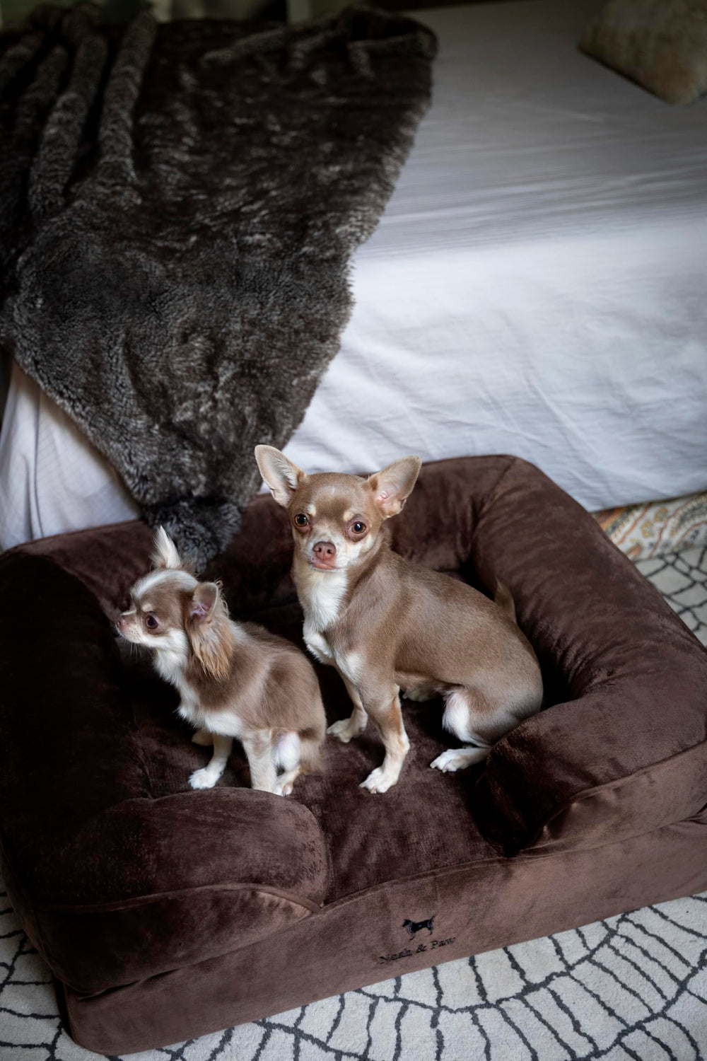 NOAH & PAW 11-inch-raised-bed image illustrates elevated support for lounging.