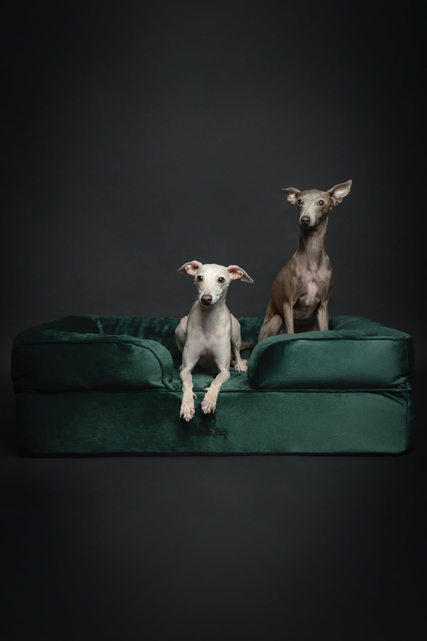 NOAH & PAW bolster support provides a cushioned edge for relaxed lounging.