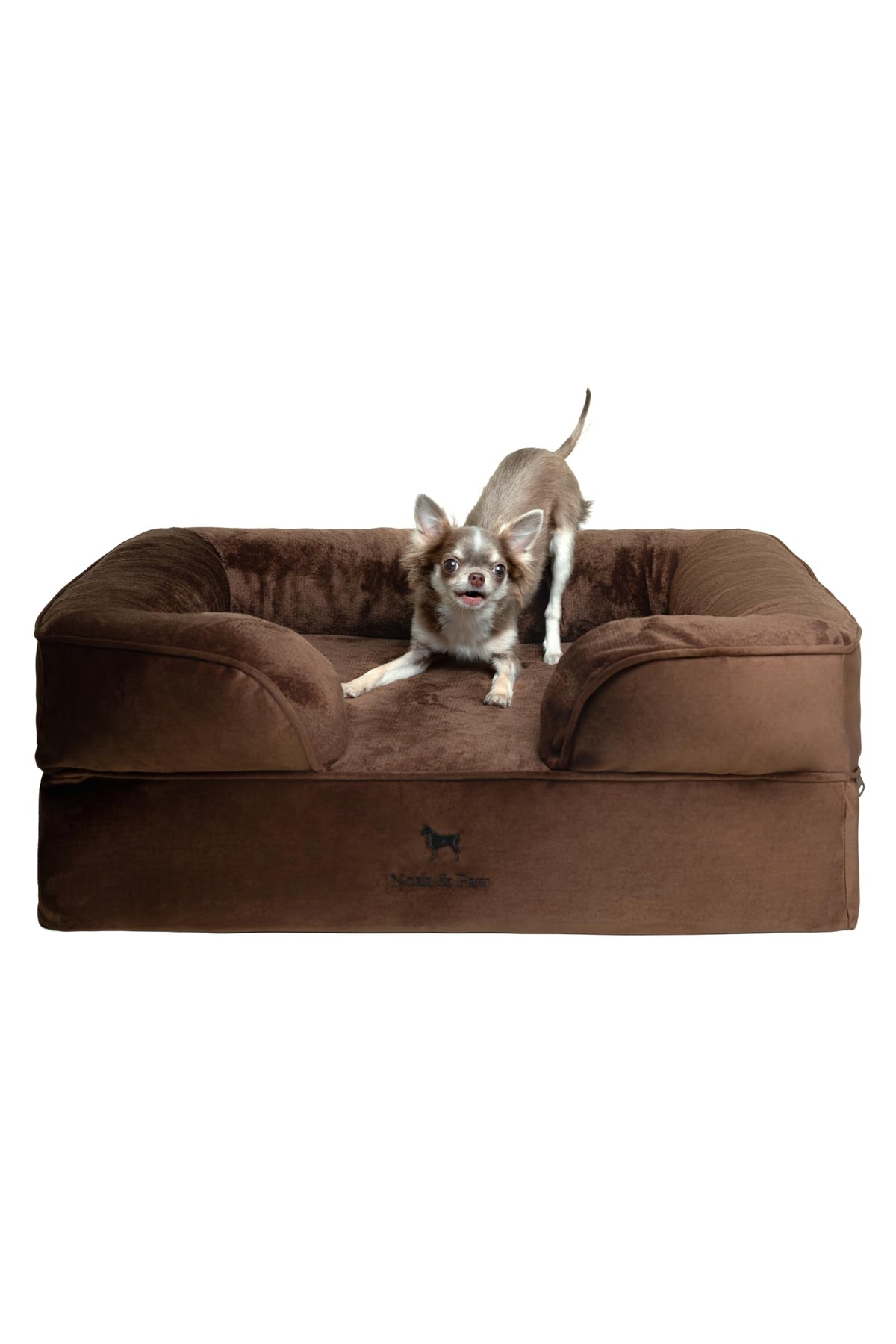 NOAH & PAW egg-shell-memory-foam-cooling image highlighting cooling comfort.