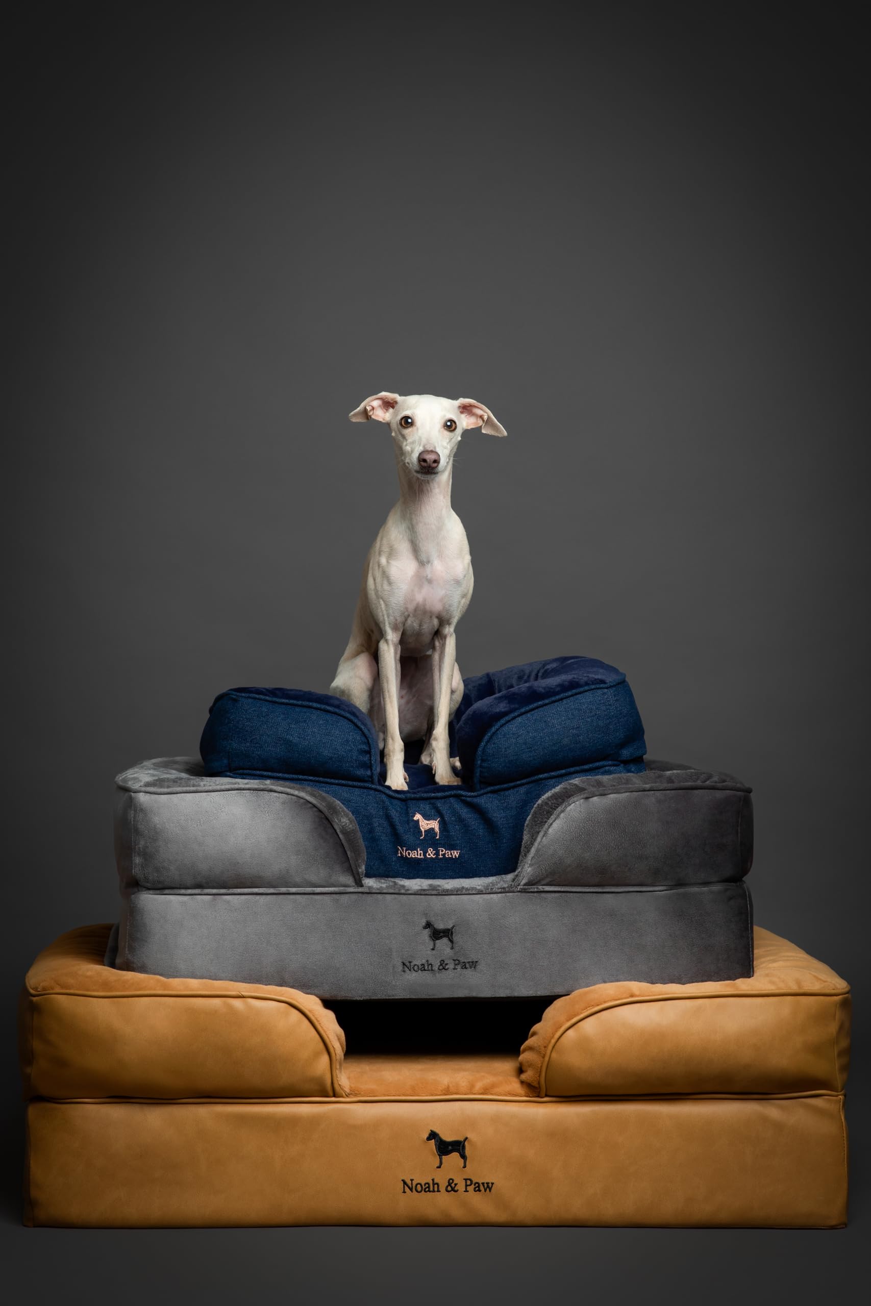 NOAH & PAW bed-in-use-xxl illustrates ready-to-use space for a large dog.