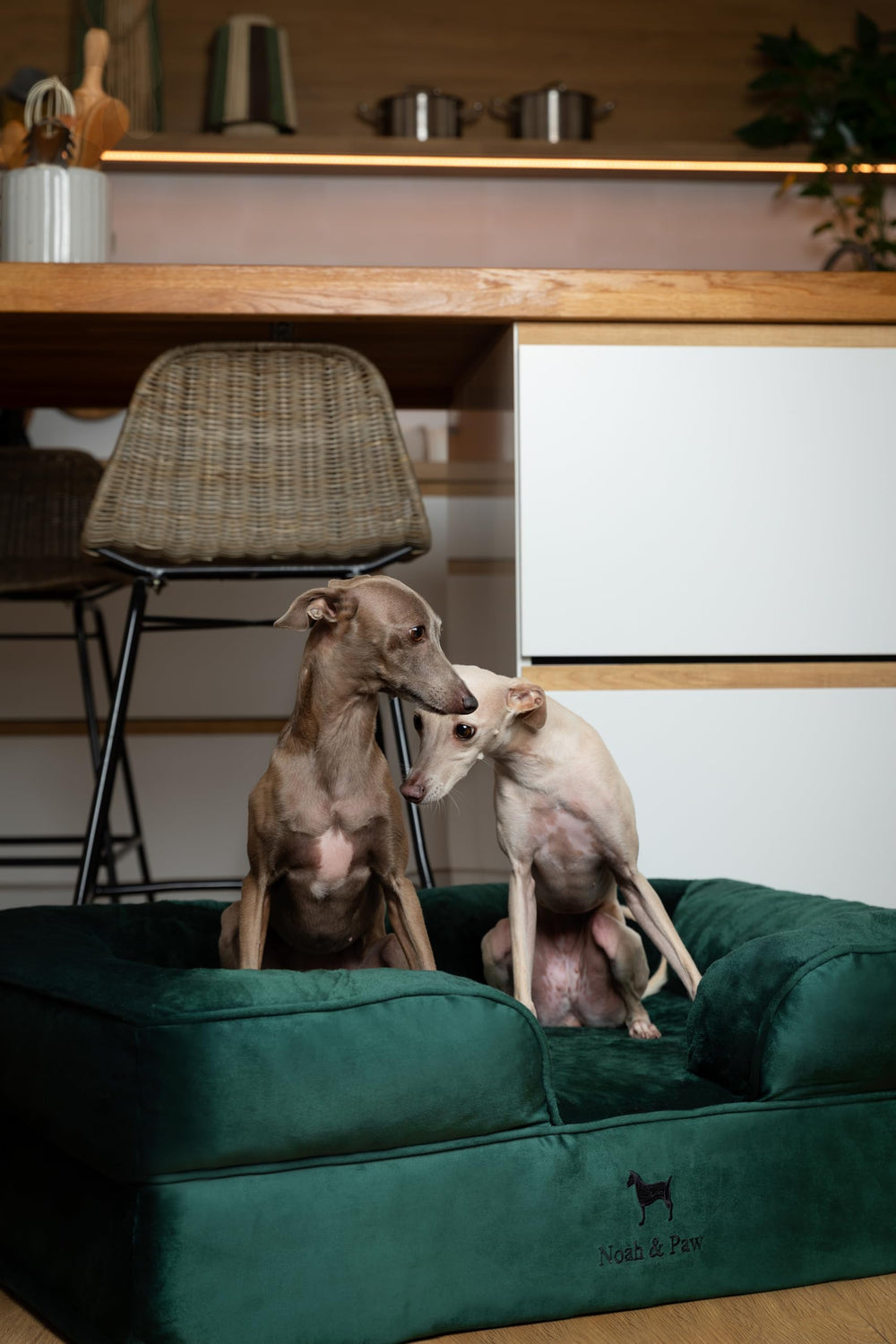 NOAH & PAW machine washable covers make maintenance quick and simple.