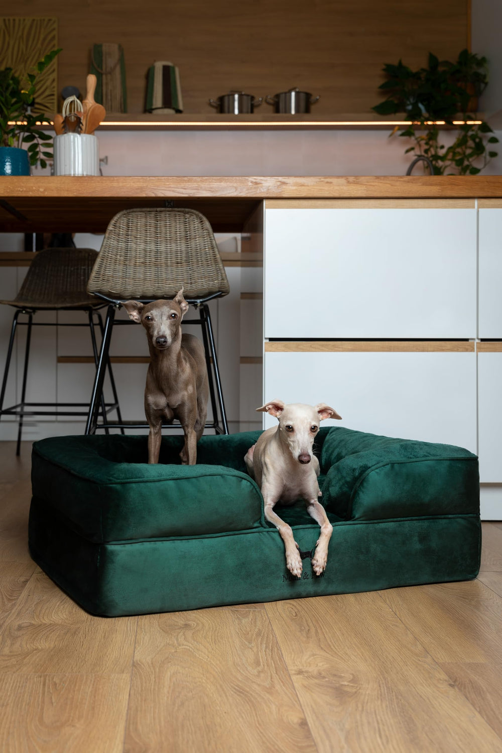 NOAH & PAW memory foam layer delivers plush support for joints.
