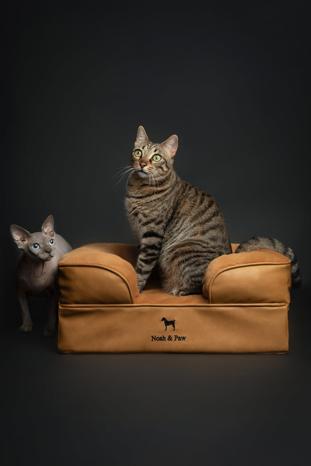 NOAH & PAW cat bed indoor comfort offers a cozy spot for felines.