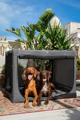 Noah & Paw collapsible crate cover in heavy-duty 900D fabric for rough trips.