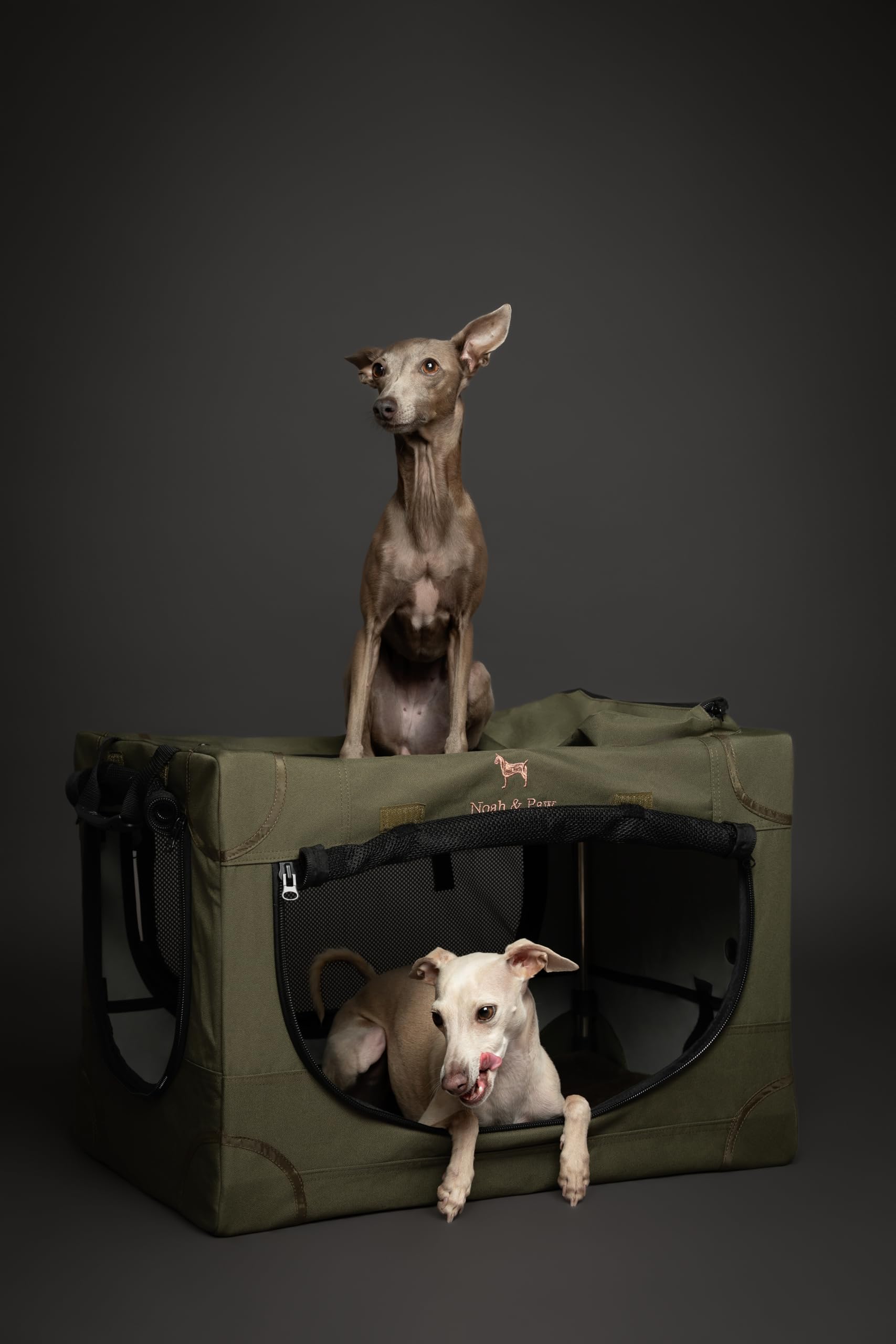 Noah & Paw Collapsible Dog Crate available in 4 sizes and 3 colors.
