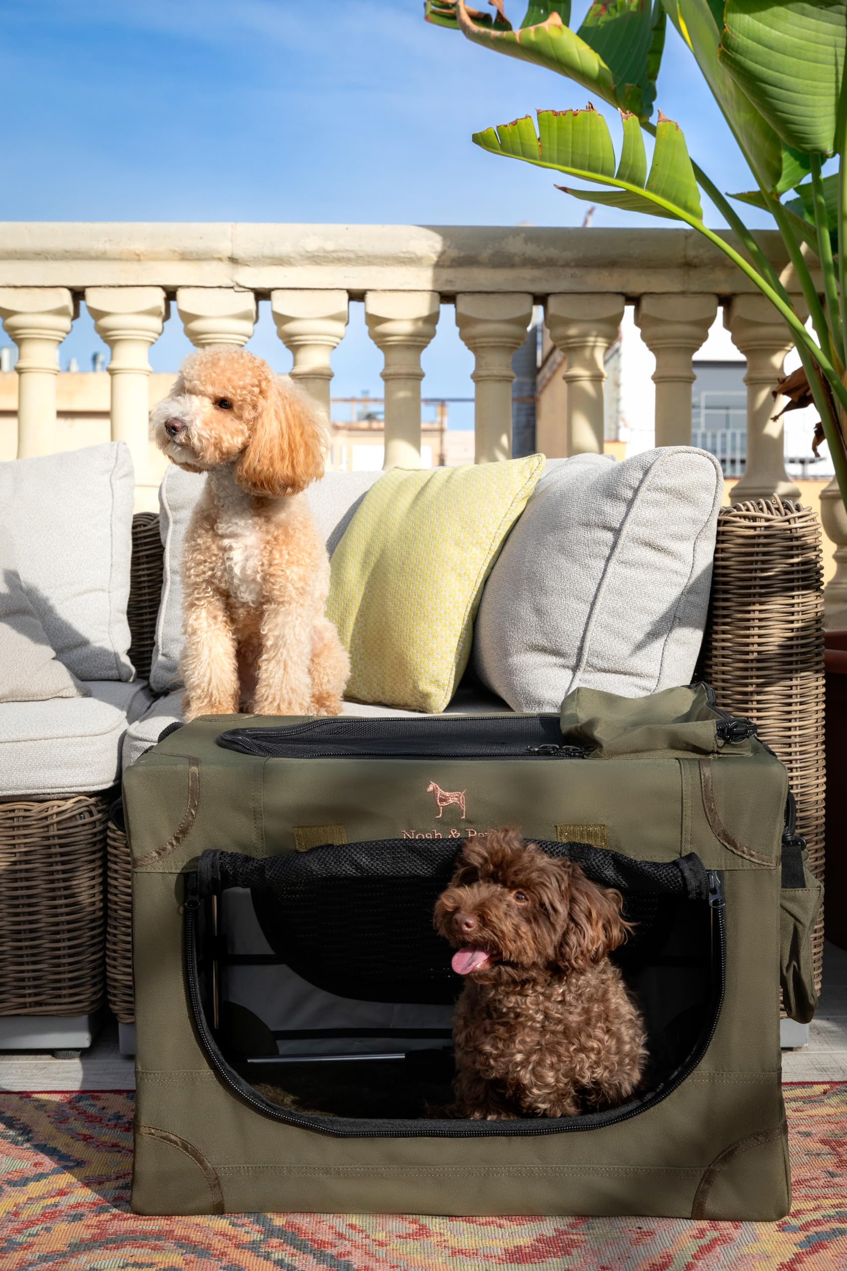 Noah & Paw Collapsible Dog Crate stainless-steel frame delivers durability on trips.