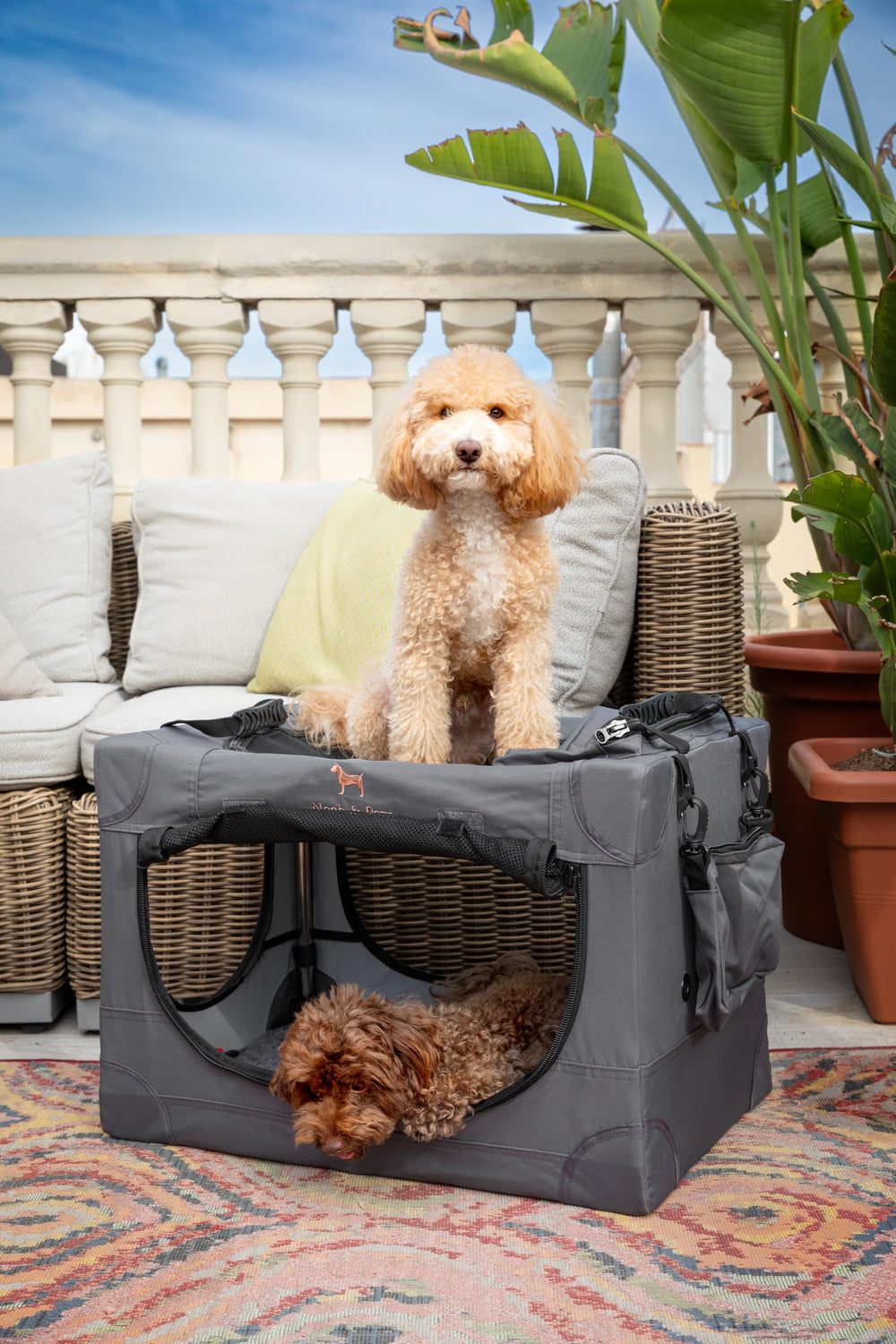 Noah & Paw crate with soft pet mat inside for crate comfort.