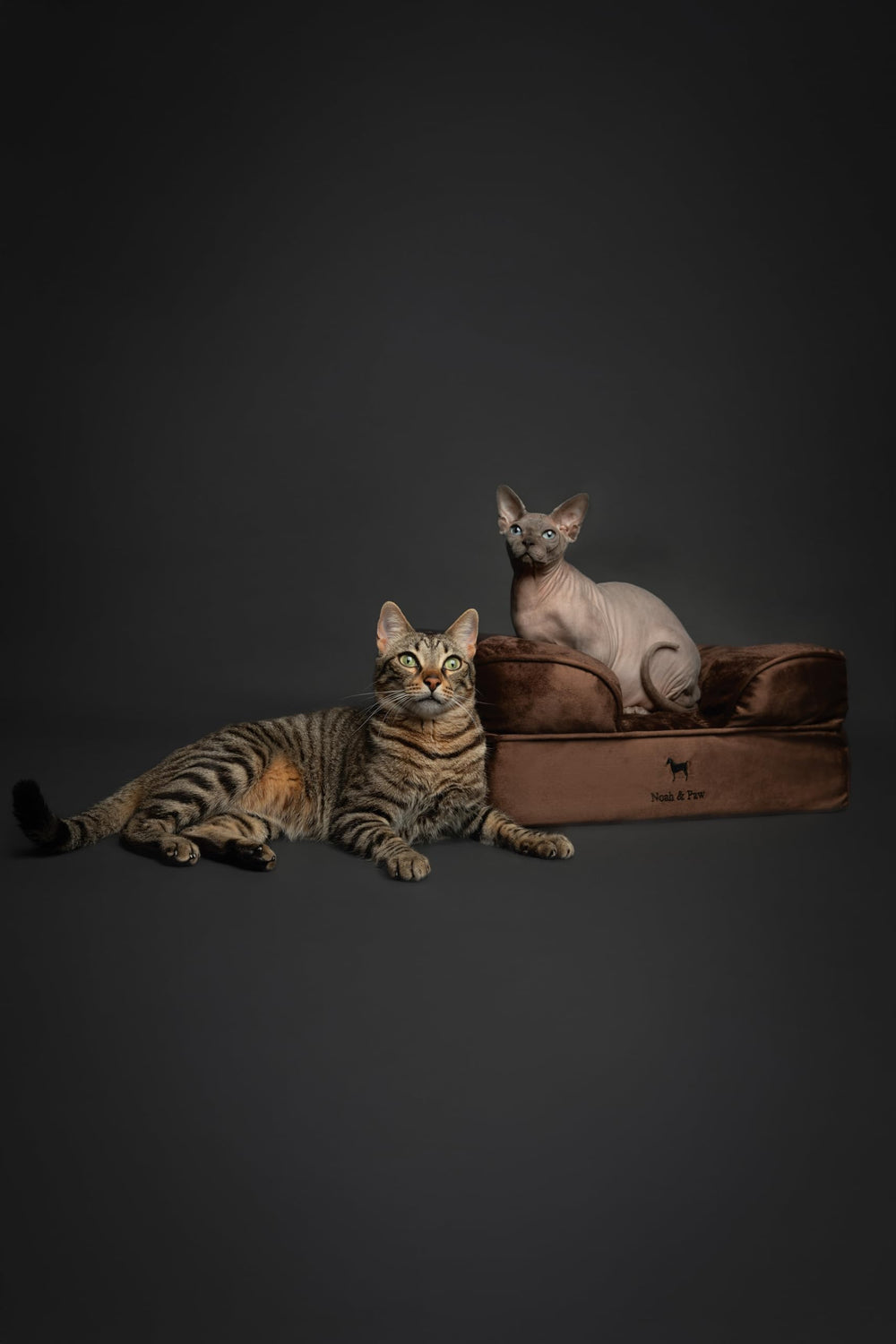 NOAH & PAW cooling gel eggshell layer helps maintain comfortable temperature.