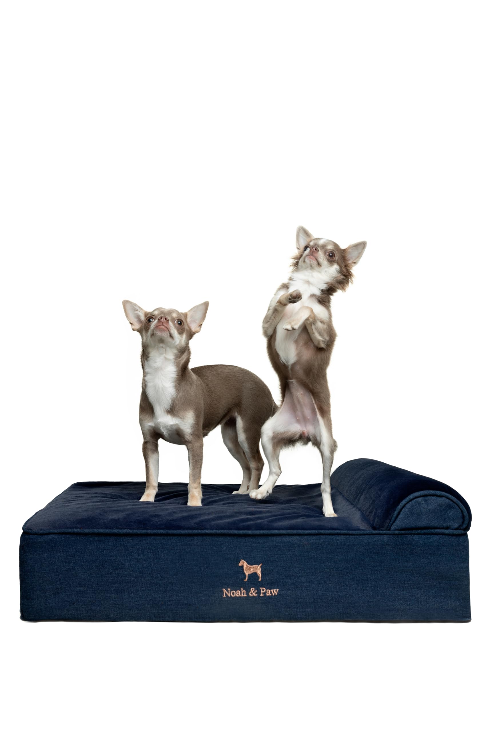 NOAH & PAW Denim dog bed front view with orthopedic support.