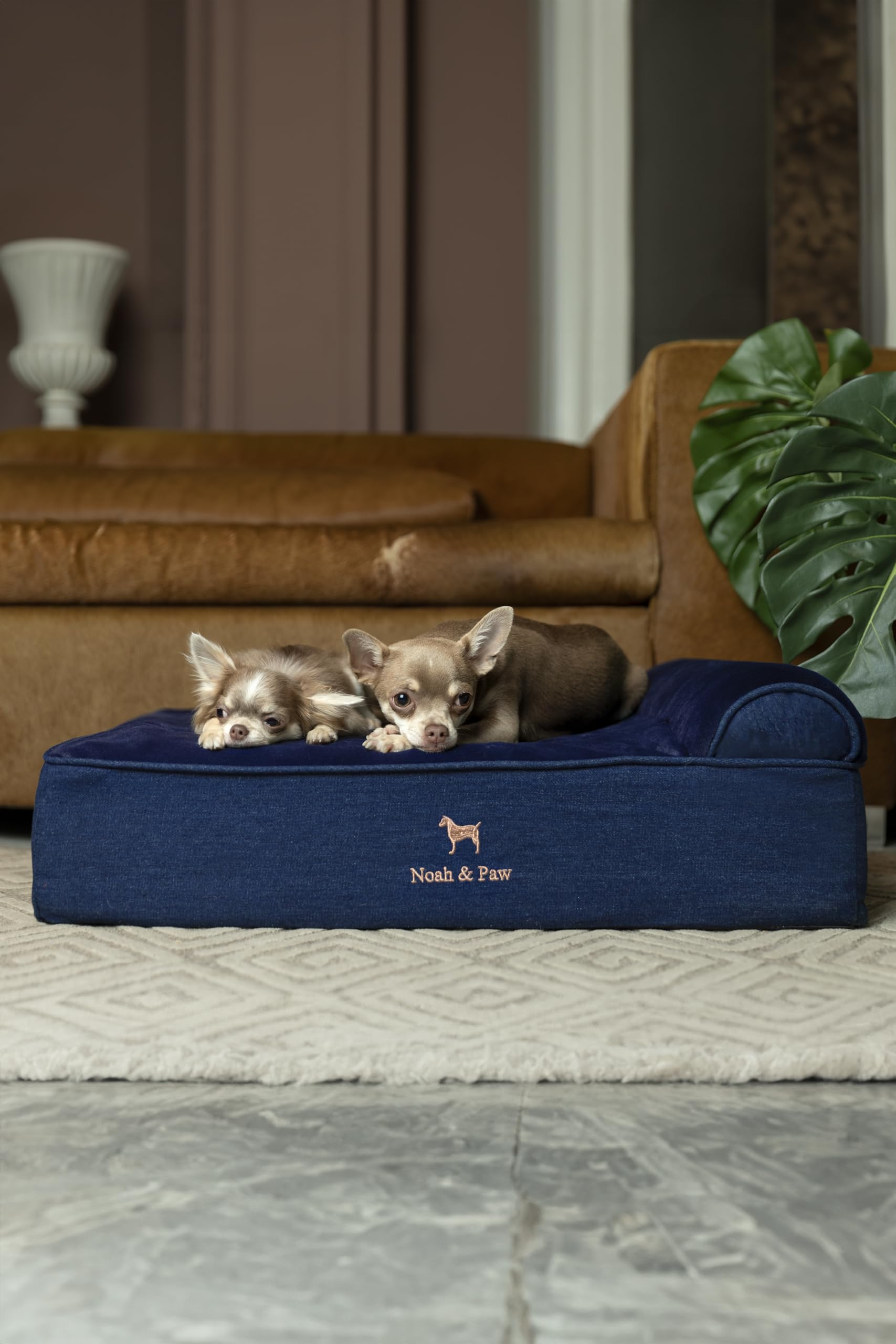NOAH & PAW Denim packaging highlights easy unboxing and setup.