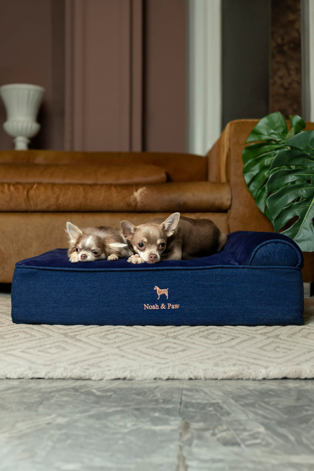 NOAH & PAW Denim packaging highlights easy unboxing and setup.