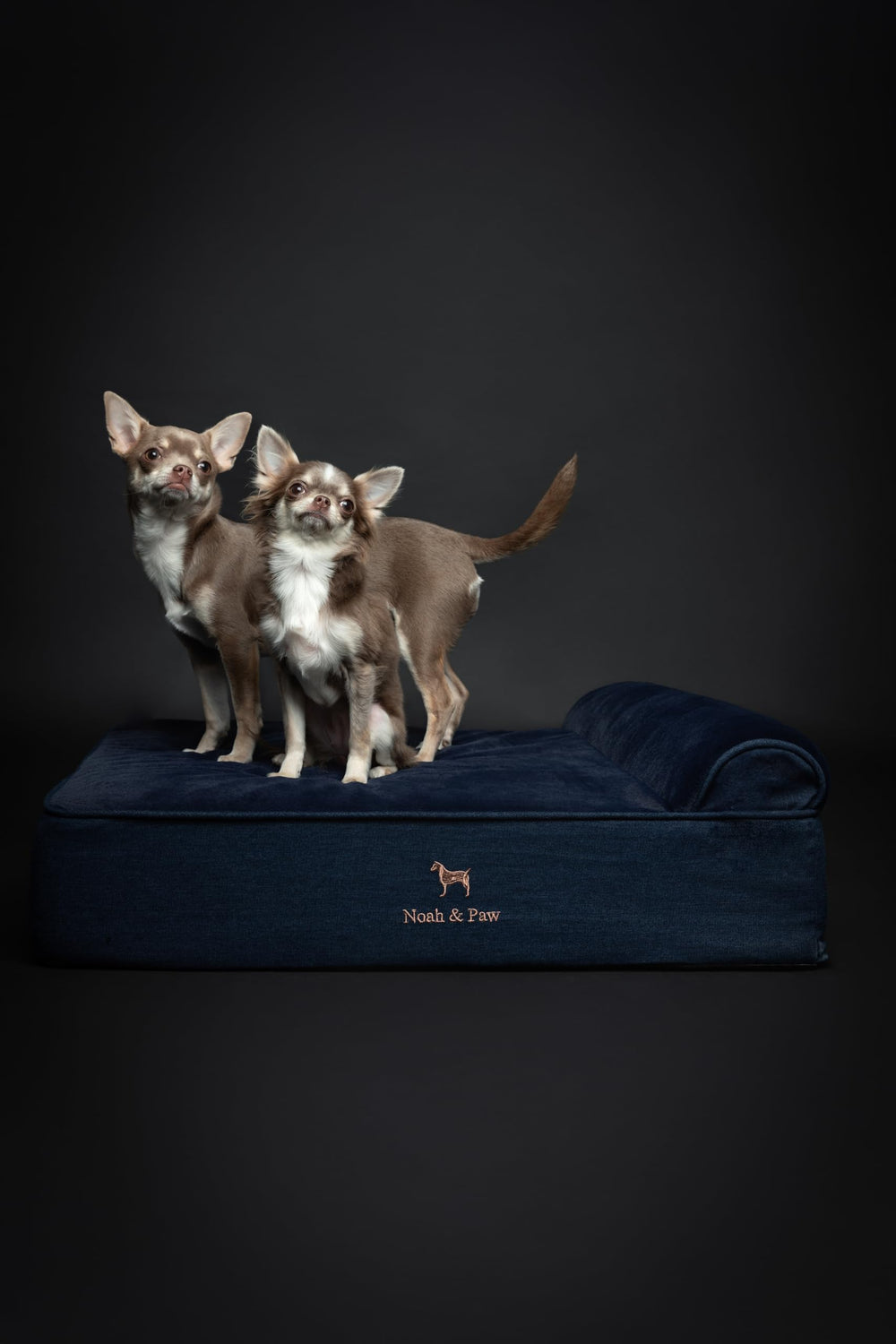 NOAH & PAW Denim foam-layer construction detail for joint comfort.