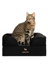 NOAH & PAW denim small-dog-bed foam closeup showing memory foam and cooling gel.