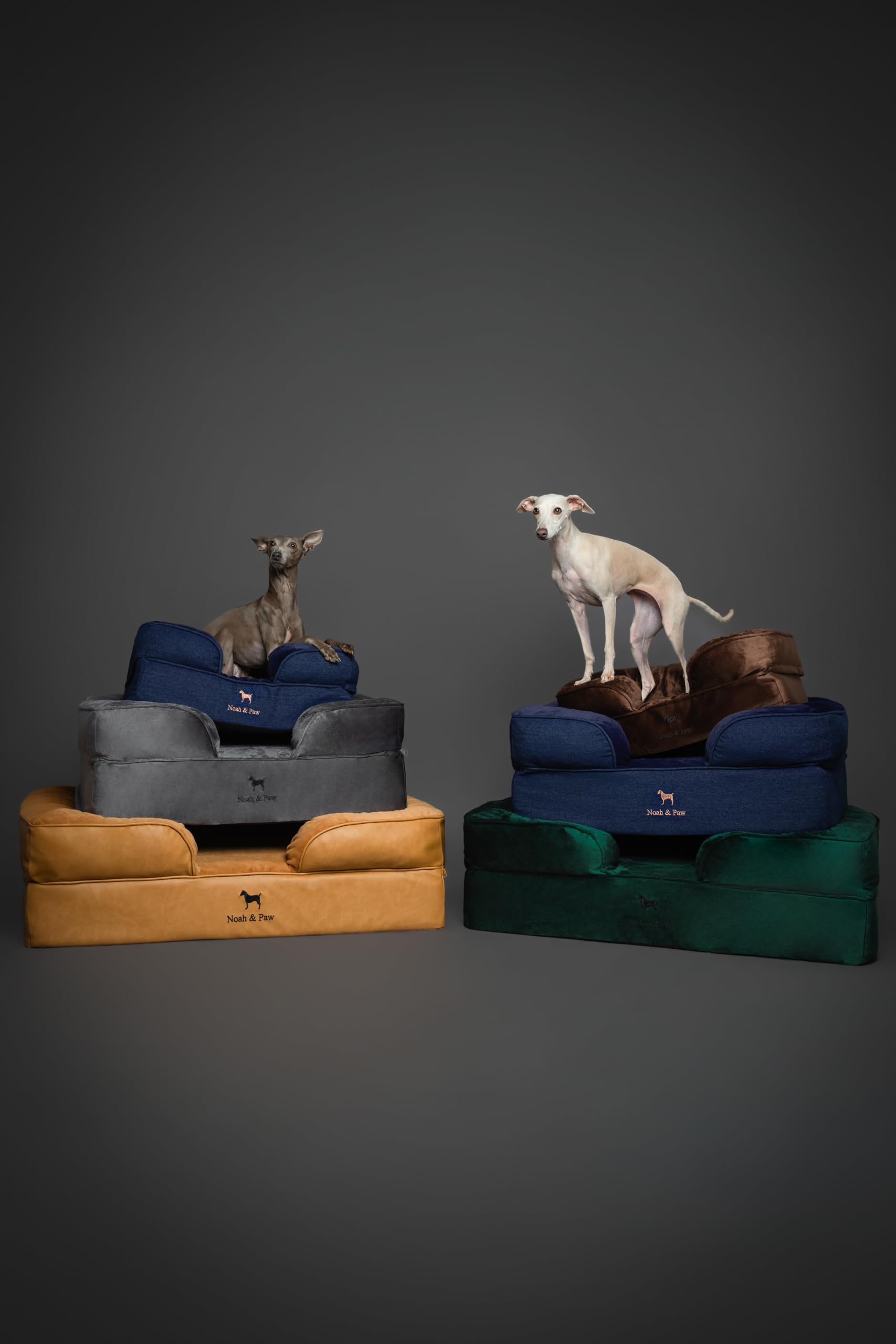 NOAH & PAW denim sofa collection in living room creates pet-friendly style